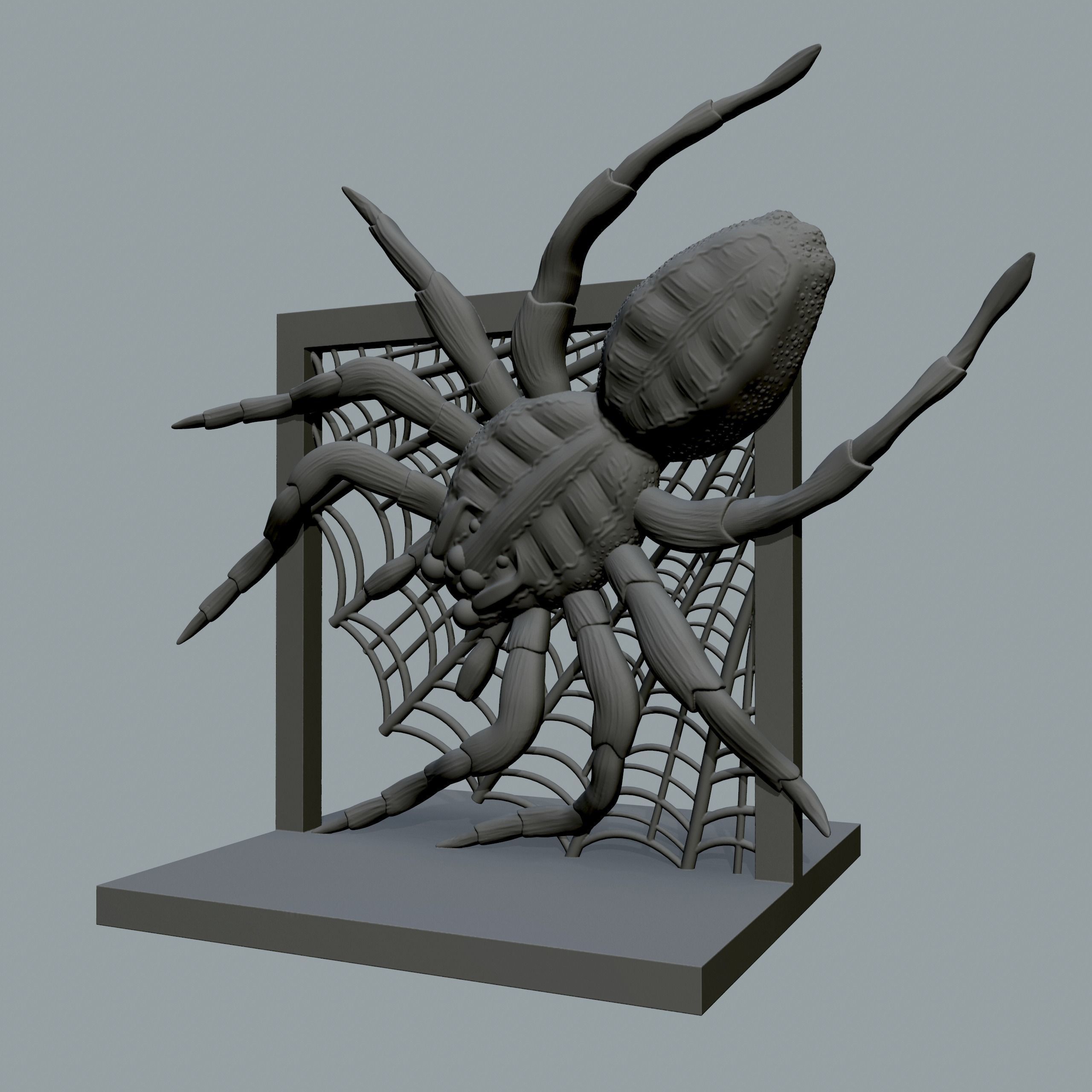 Spider for print 3D print model_4