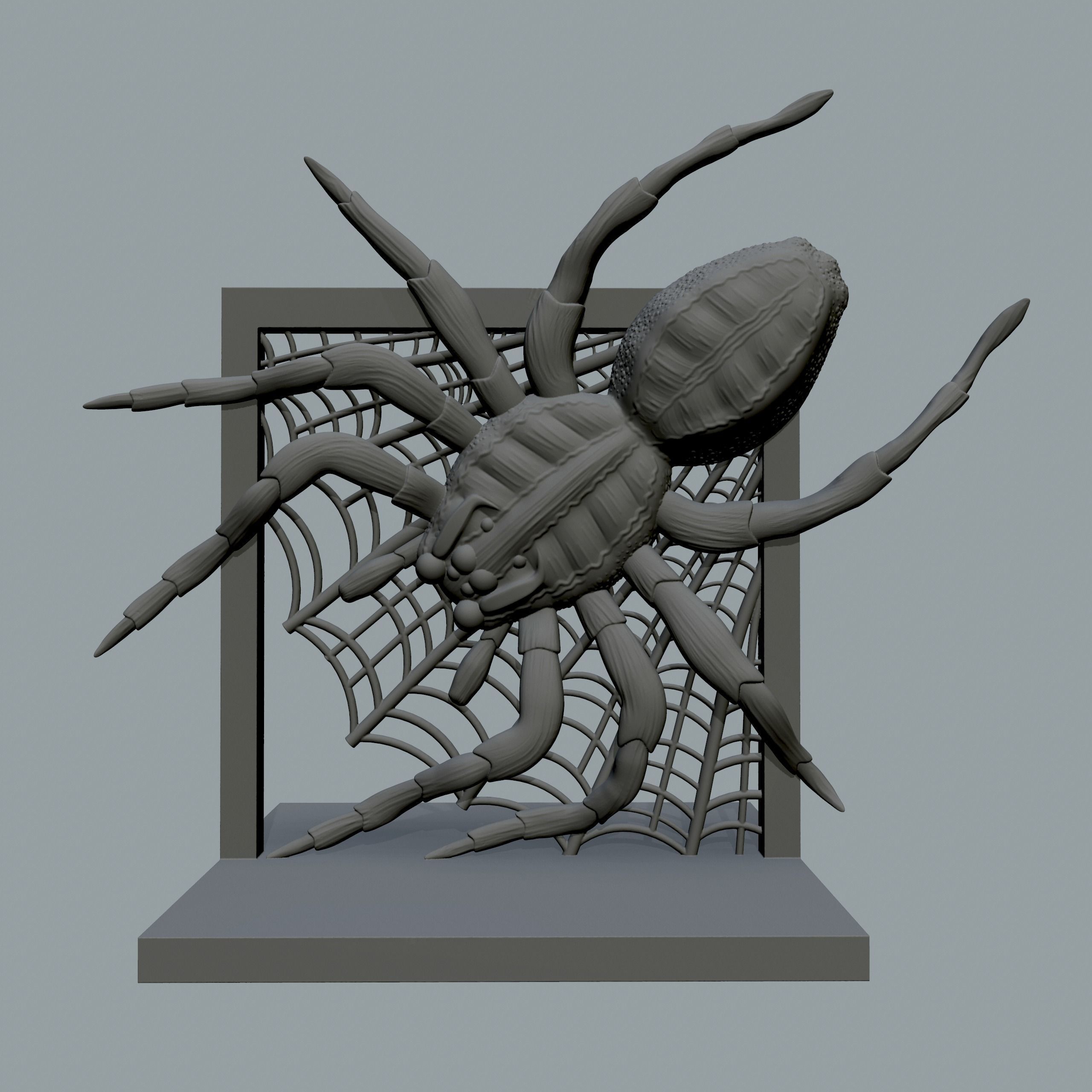 Spider for print 3D print model_1