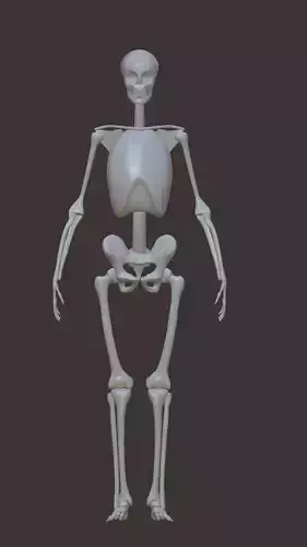 Skeleton Free low-poly 3D model