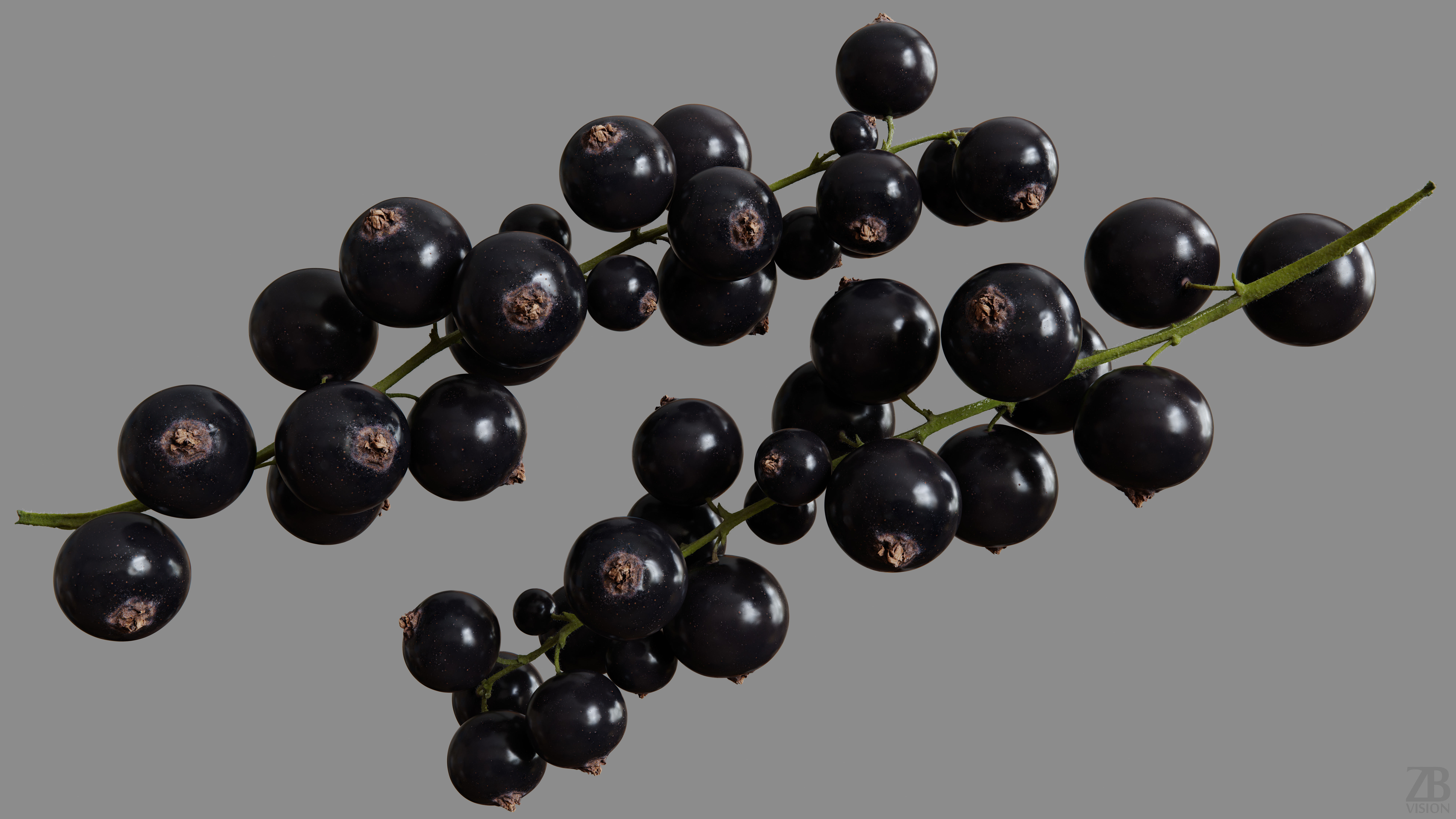 Black Currant 3D model_9