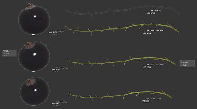 Black Currant 3D model 6