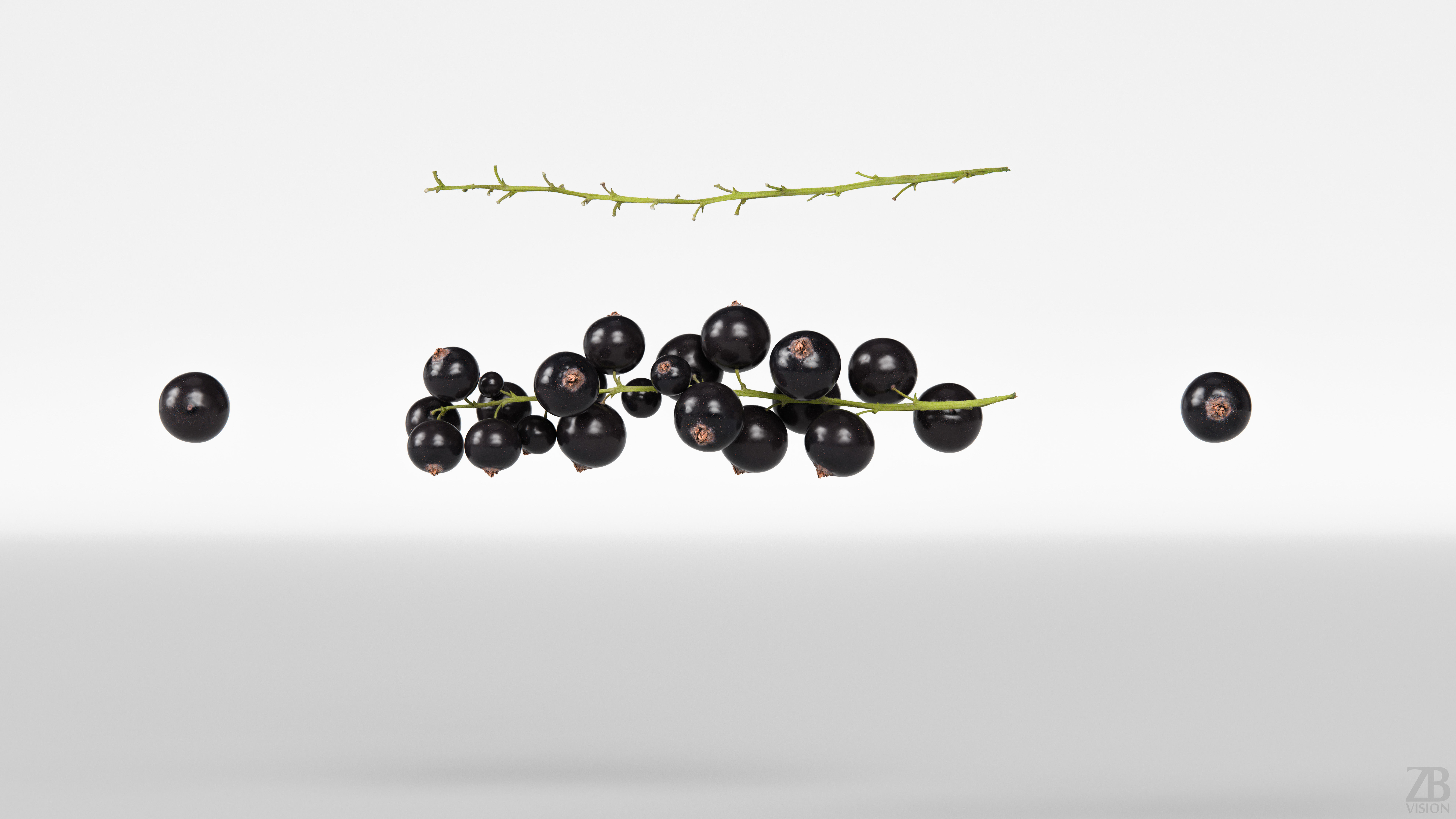 Black Currant 3D model_4