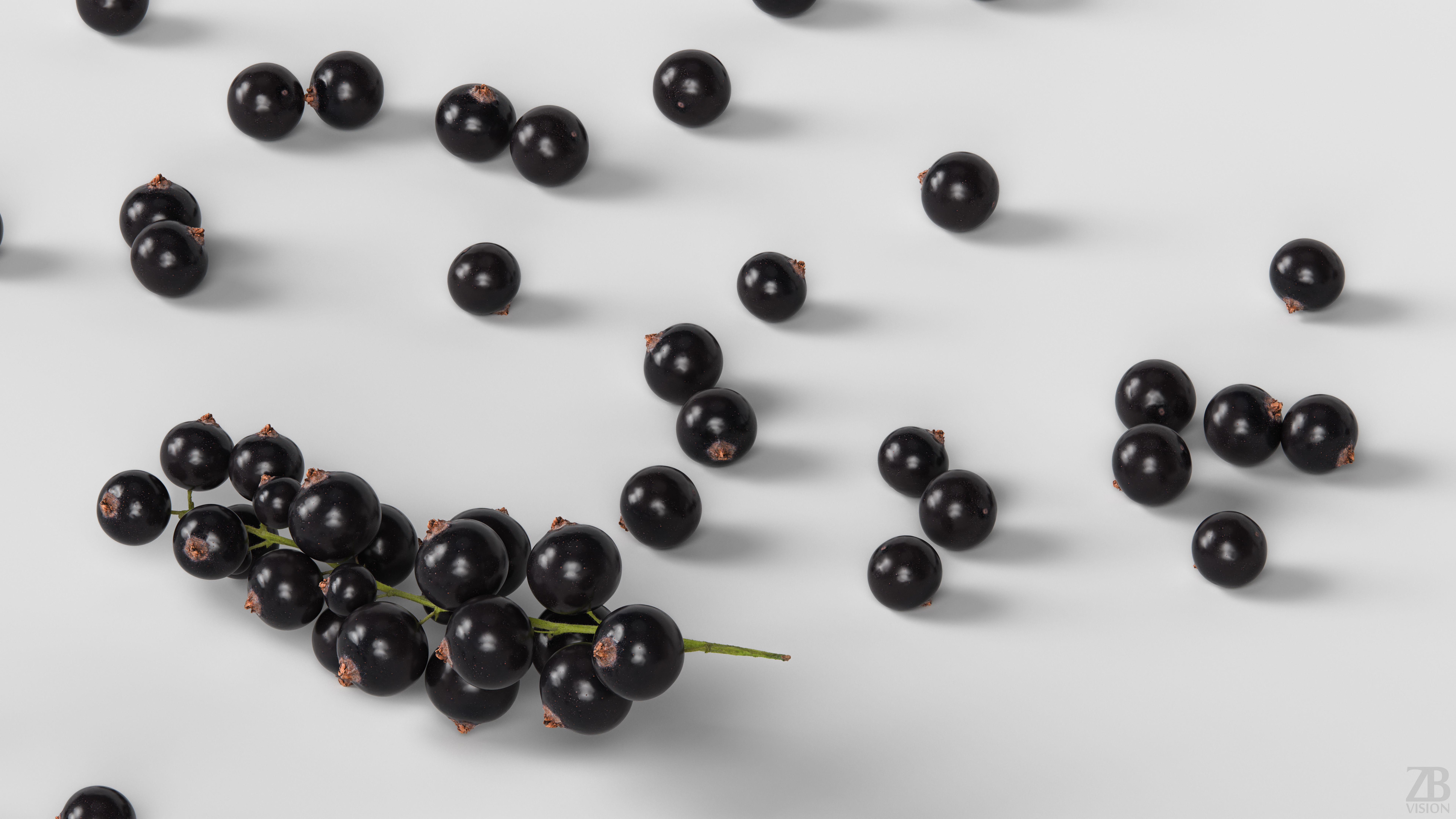 Black Currant 3D model_2