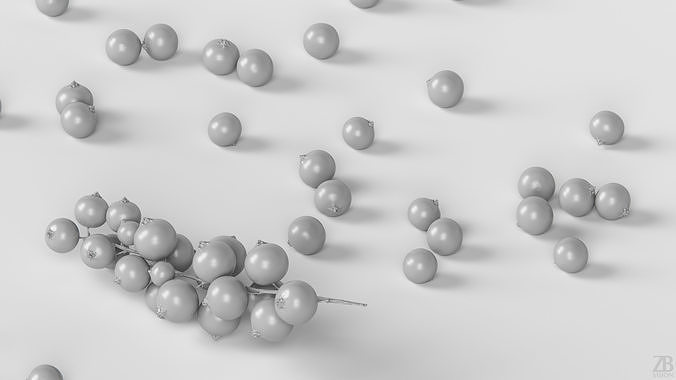 Black Currant 3D model 4