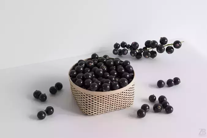 Black Currant 3D model