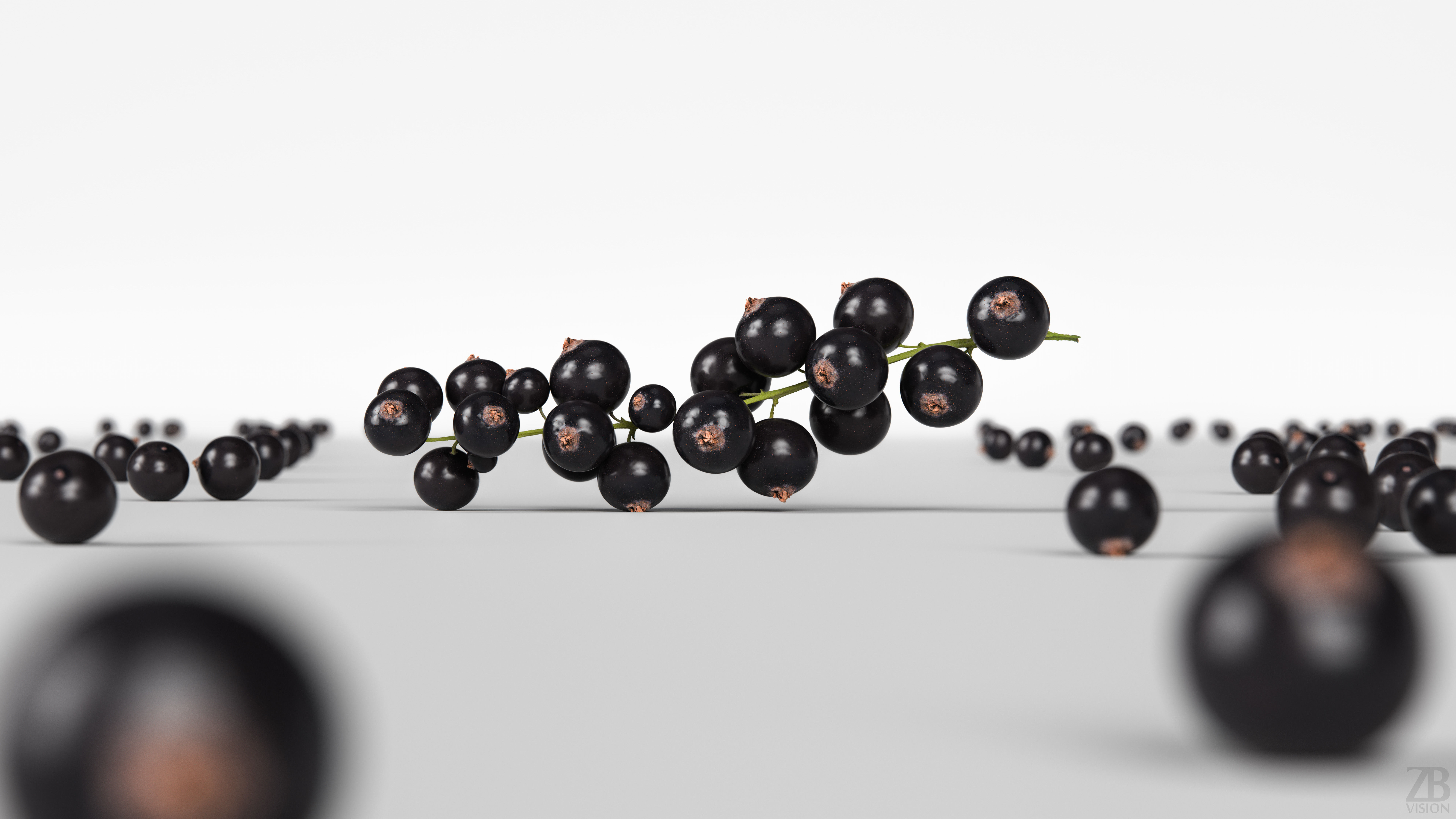 Black Currant 3D model_1