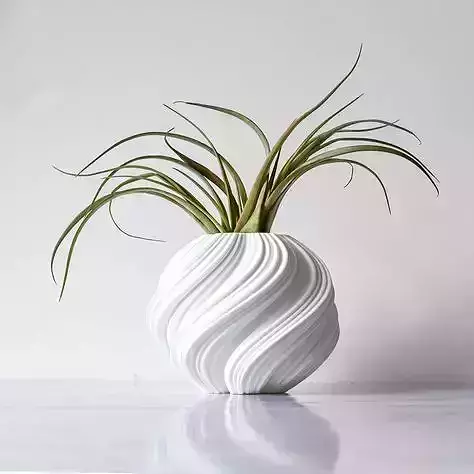 DECORATIVE SUCCULENT PLANT POSE