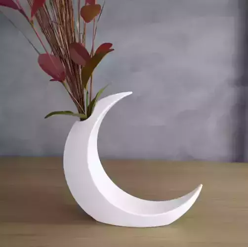 potted plant and waning moon flower 3D print model