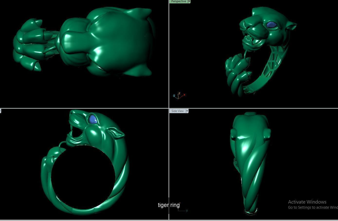 tiger ring culaction  3D Model Collection_8
