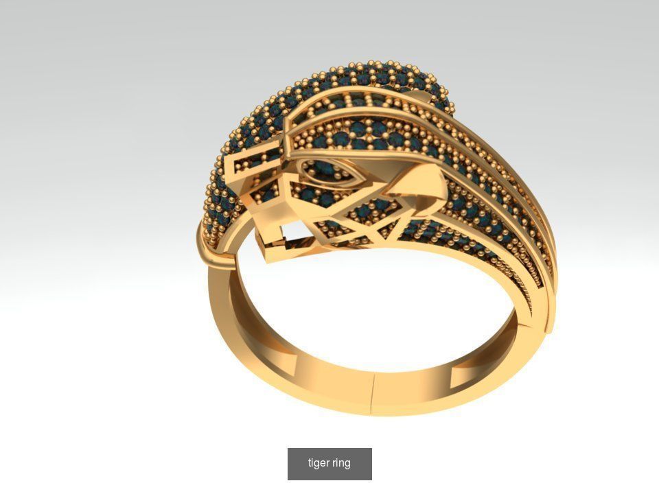 tiger ring culaction  3D Model Collection_1
