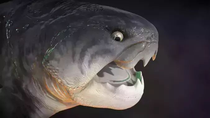 Dunkleosteus paleo accurate Low-poly 3D model