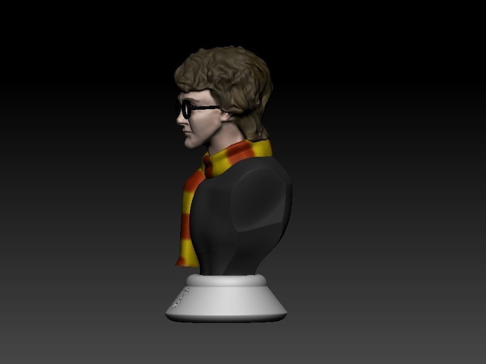 Harry Potter bust 3D print model_22