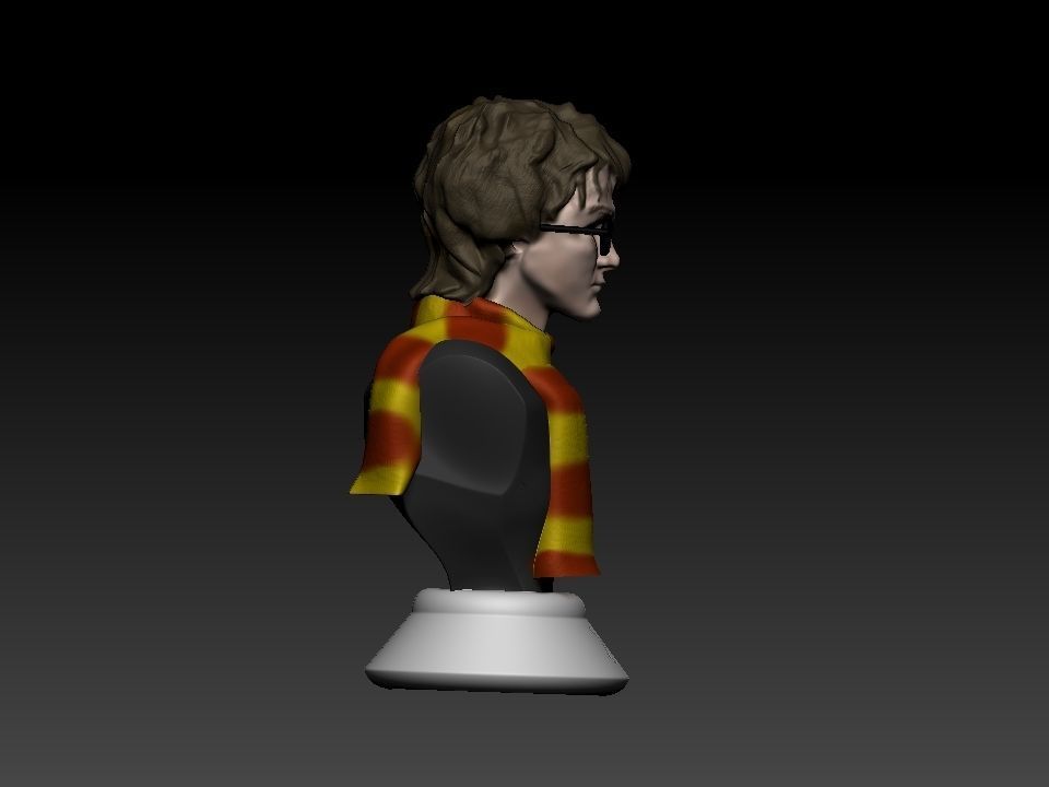 Harry Potter bust 3D print model_18