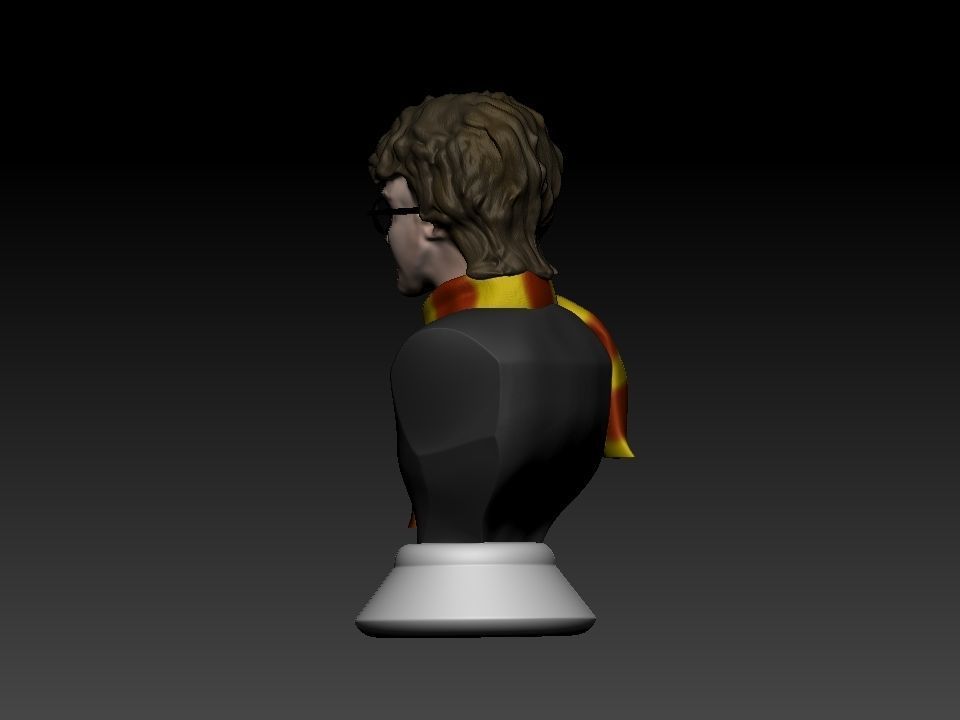 Harry Potter bust 3D print model_21
