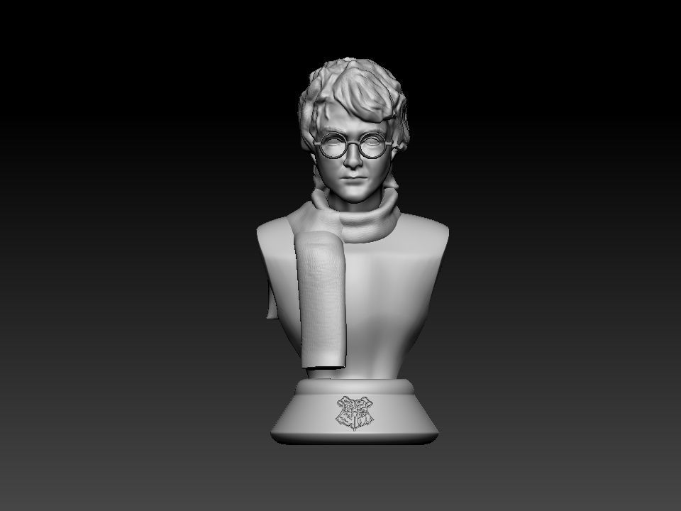Harry Potter bust 3D print model_24