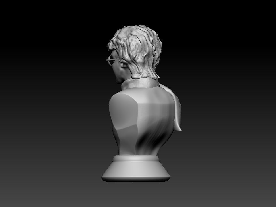 Harry Potter bust 3D print model_14