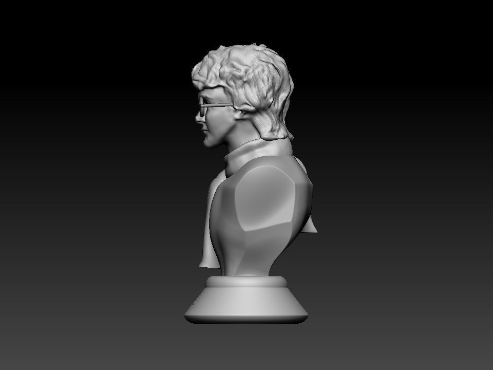 Harry Potter bust 3D print model_15
