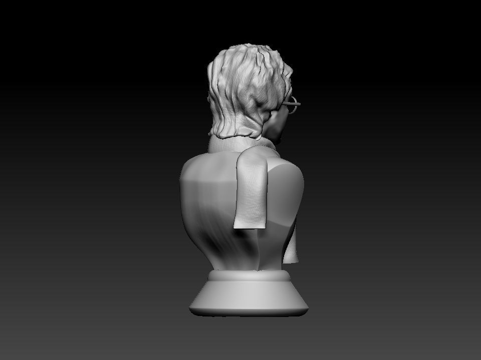 Harry Potter bust 3D print model_12