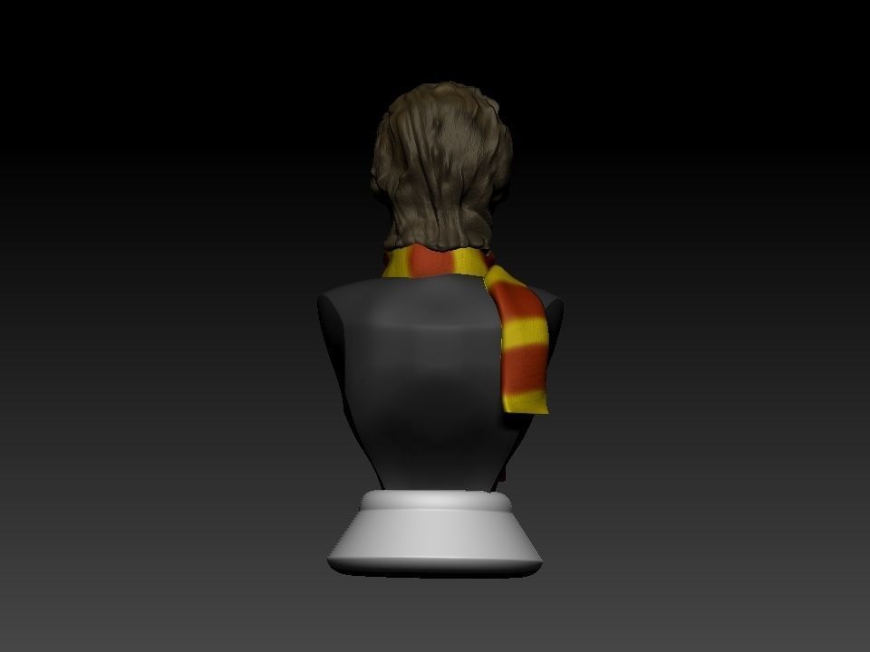 Harry Potter bust 3D print model_20