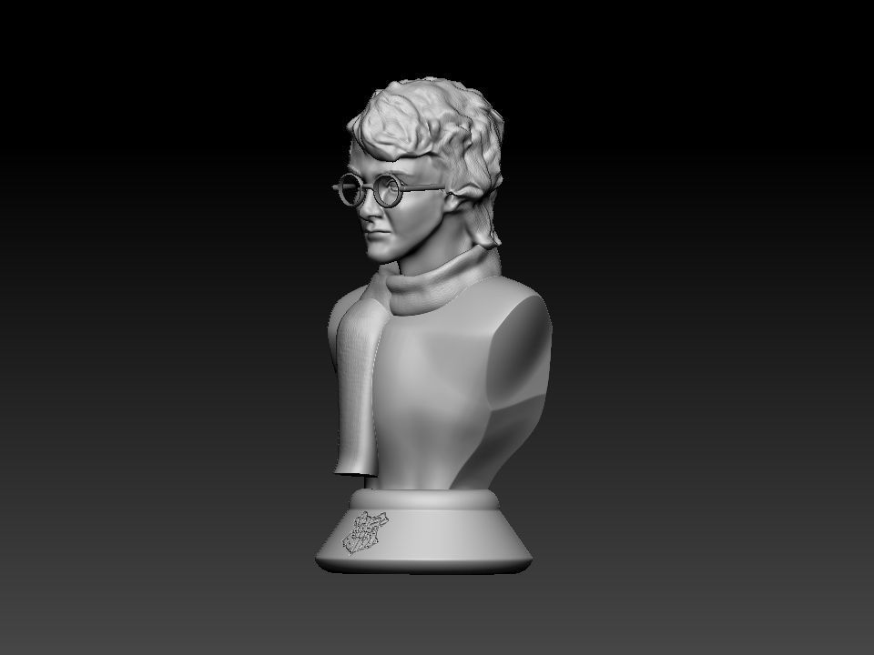 Harry Potter bust 3D print model_16