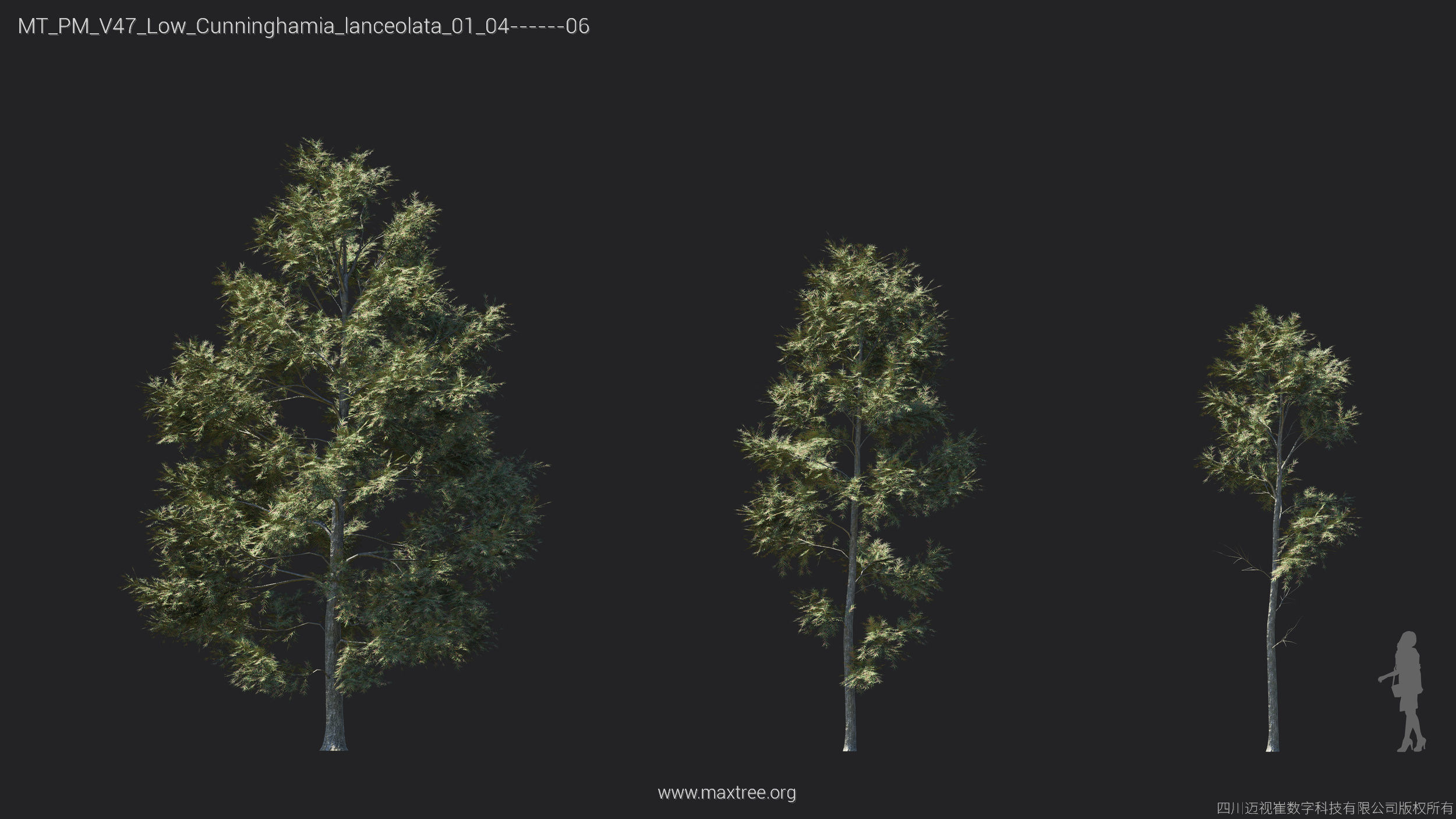 Maxtree Plant Models Vol 47 Low Poly - Mesh 3D model_16