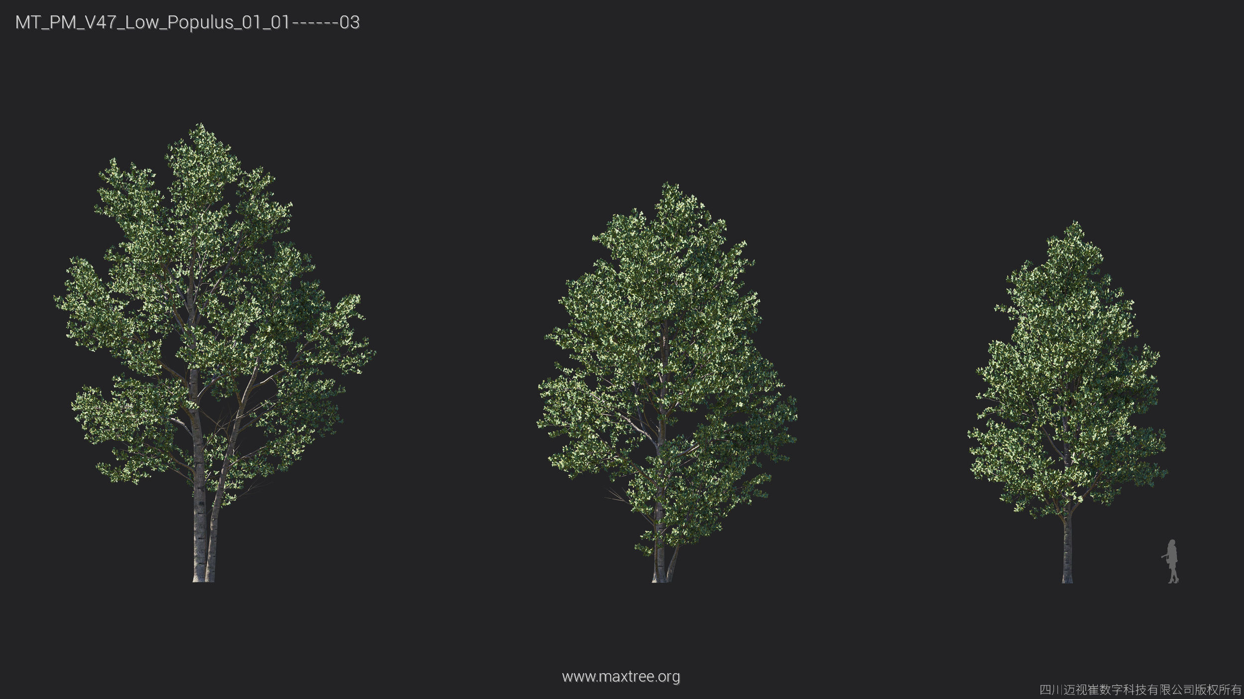 Maxtree Plant Models Vol 47 Low Poly - Mesh 3D model_23