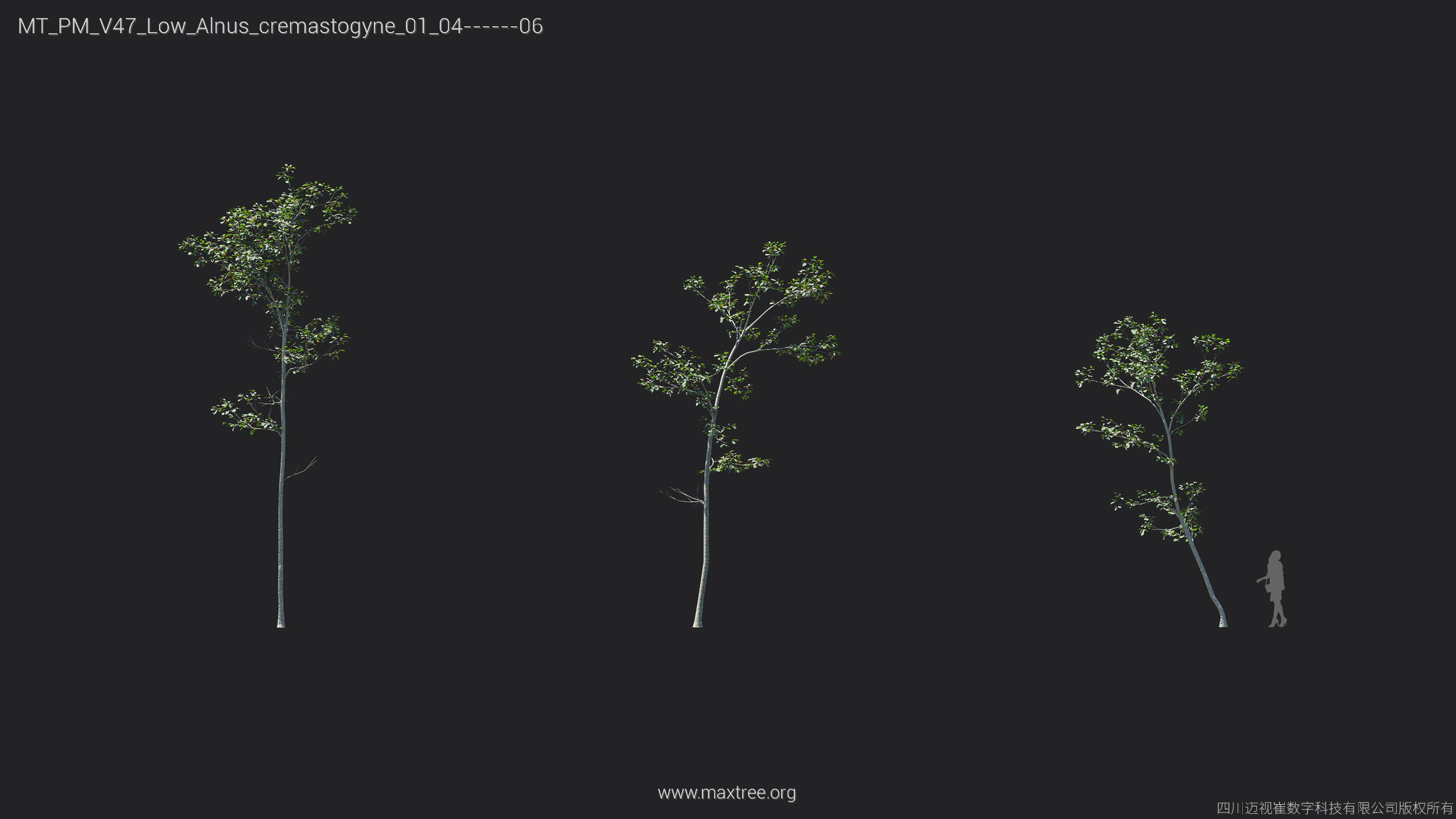 Maxtree Plant Models Vol 47 Low Poly - Mesh 3D model_4