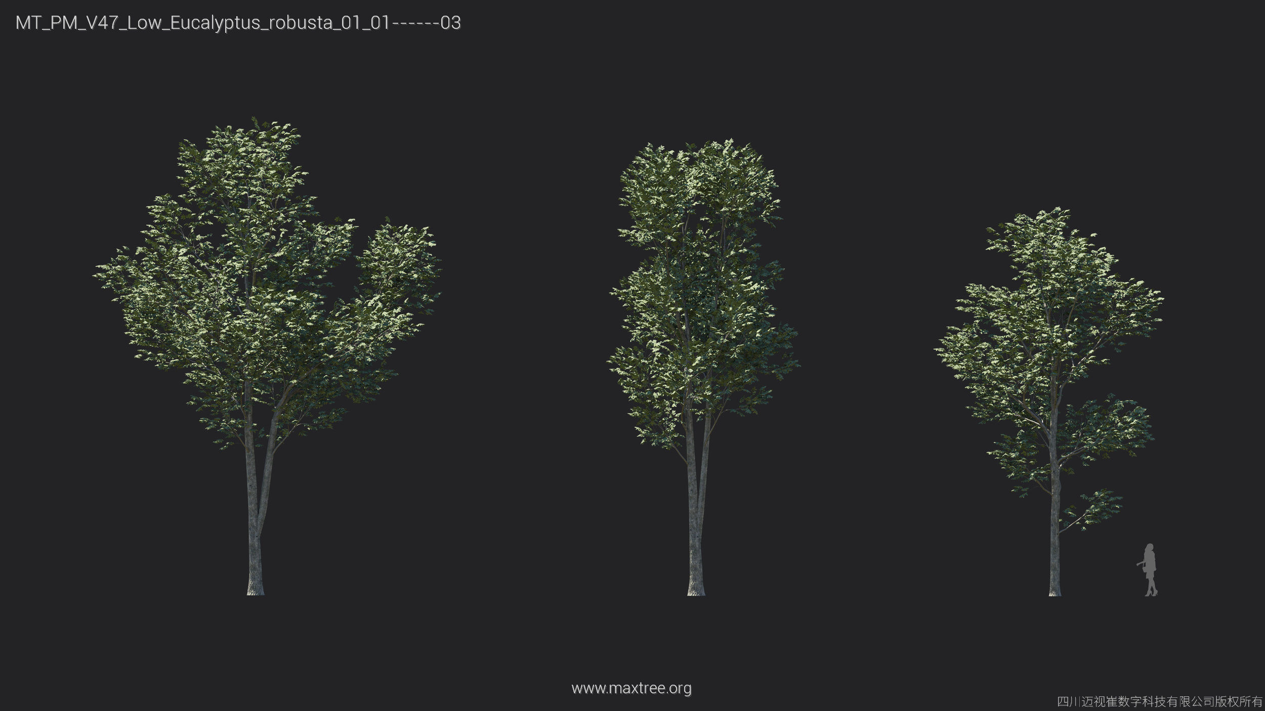 Maxtree Plant Models Vol 47 Low Poly - Mesh 3D model_19