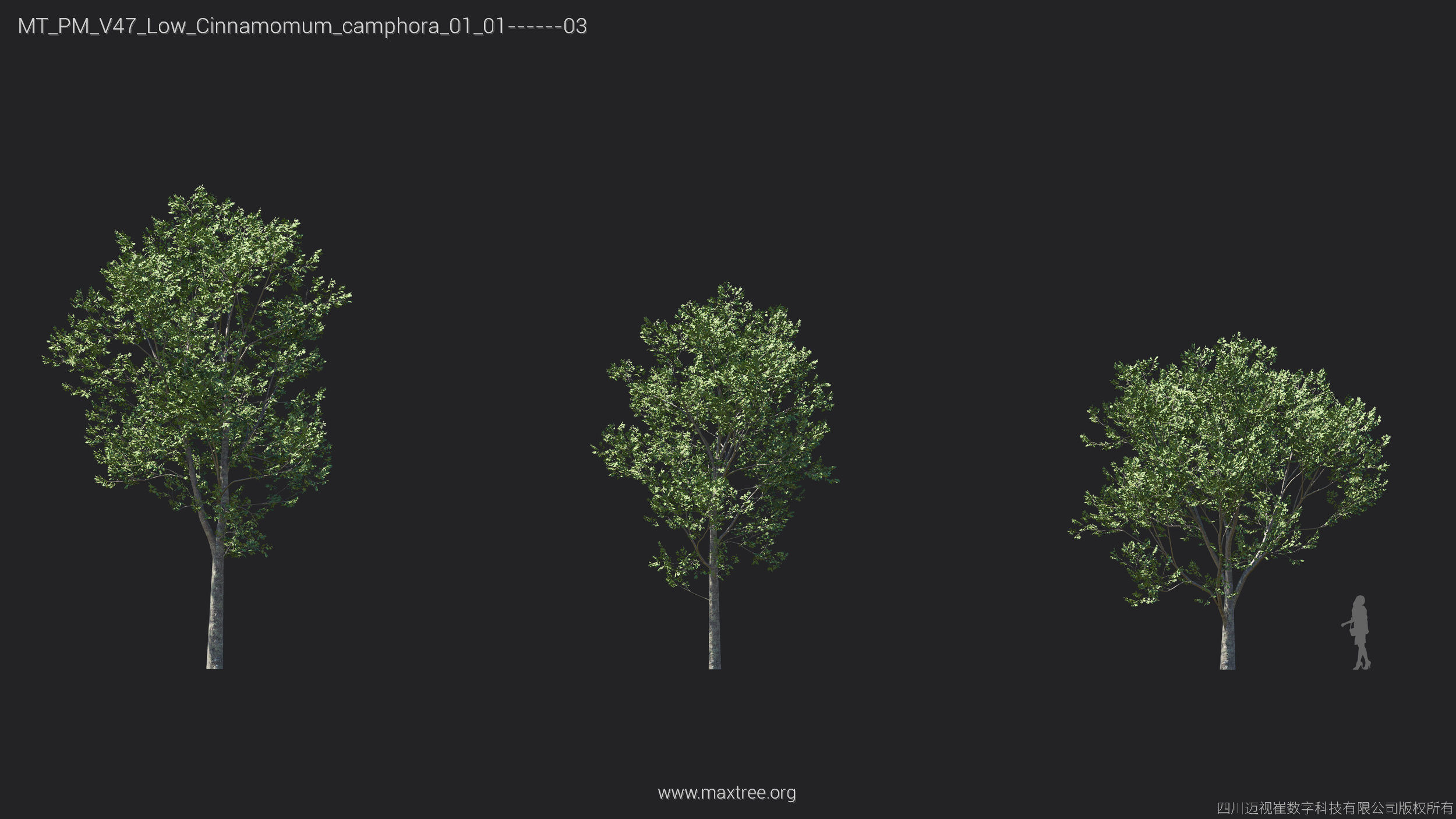 Maxtree Plant Models Vol 47 Low Poly - Mesh 3D model_13