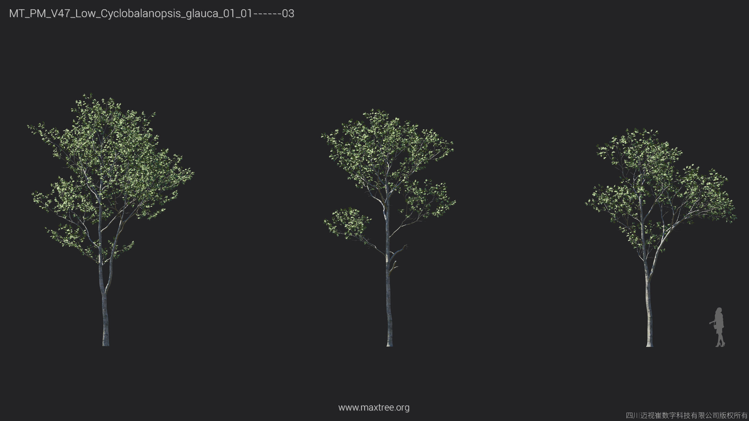 Maxtree Plant Models Vol 47 Low Poly - Mesh 3D model_17