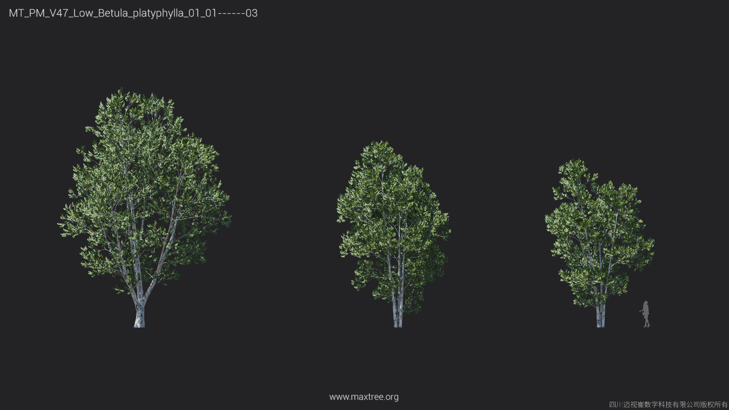 Maxtree Plant Models Vol 47 Low Poly - Mesh 3D model_5