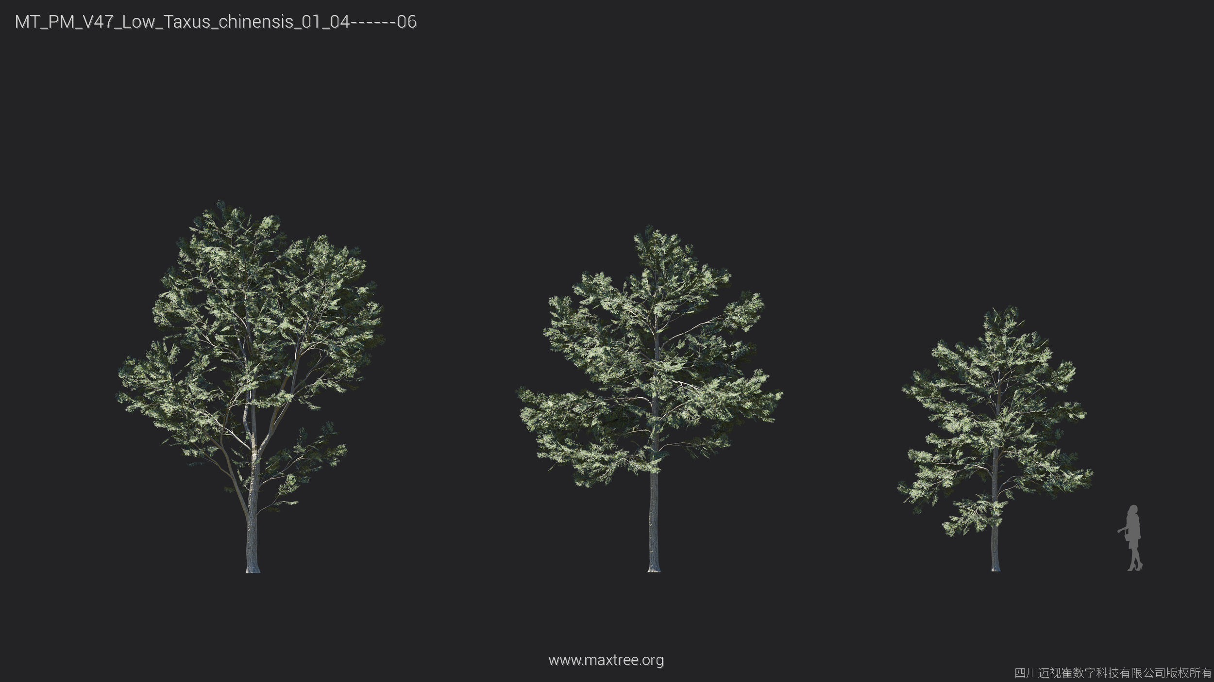 Maxtree Plant Models Vol 47 Low Poly - Mesh 3D model_26