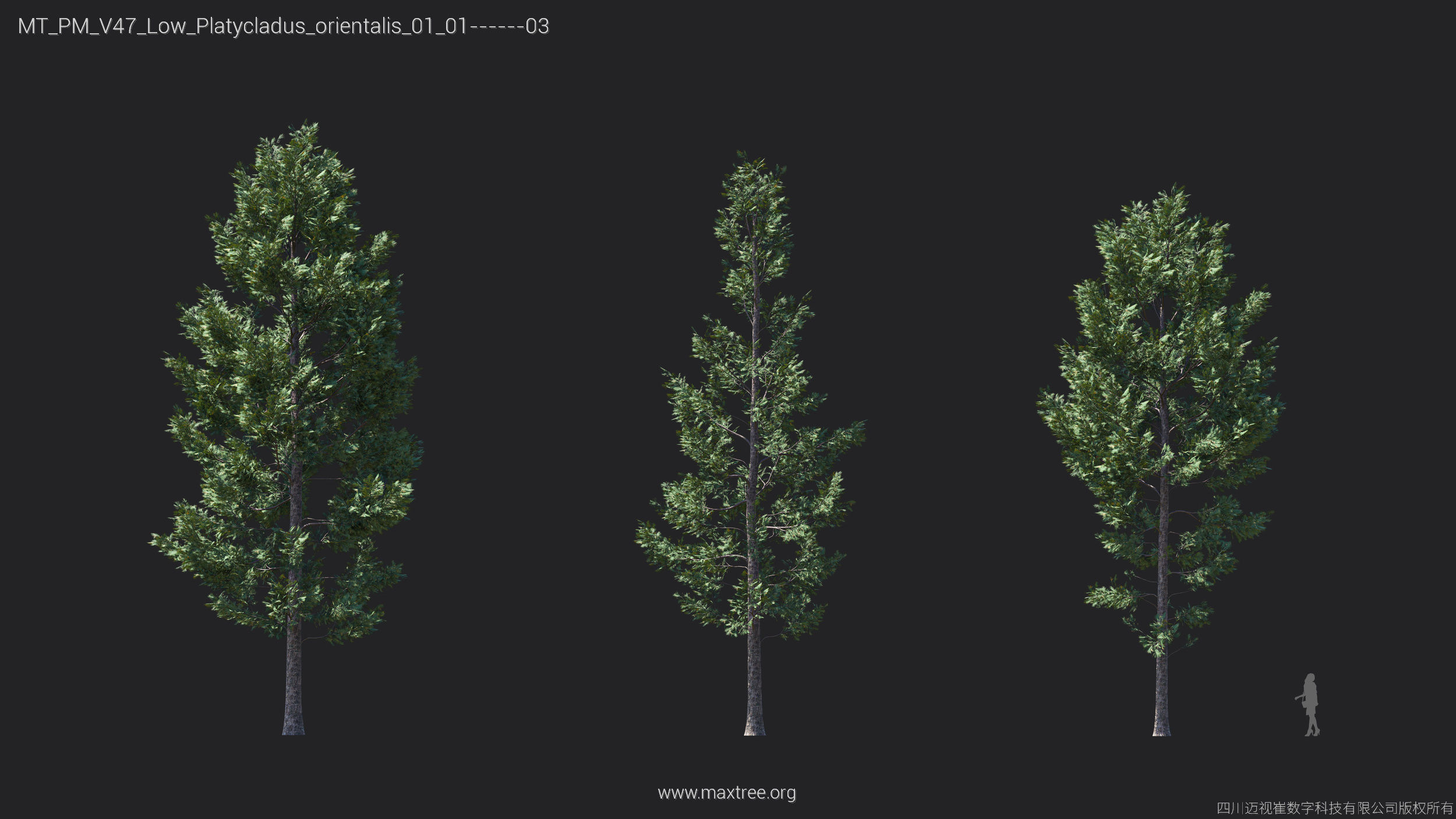 Maxtree Plant Models Vol 47 Low Poly - Mesh 3D model_21