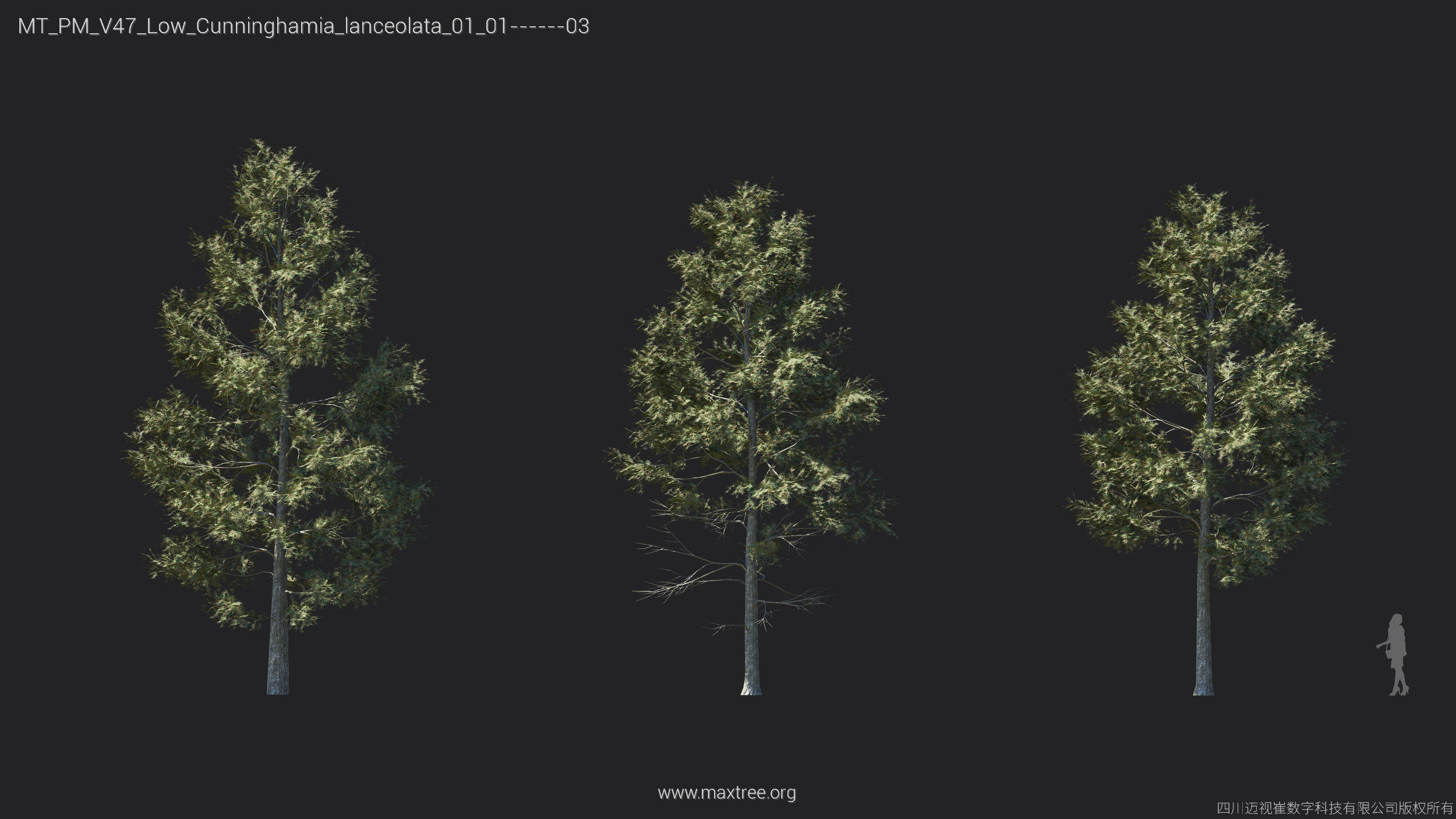 Maxtree Plant Models Vol 47 Low Poly - Mesh 3D model_15