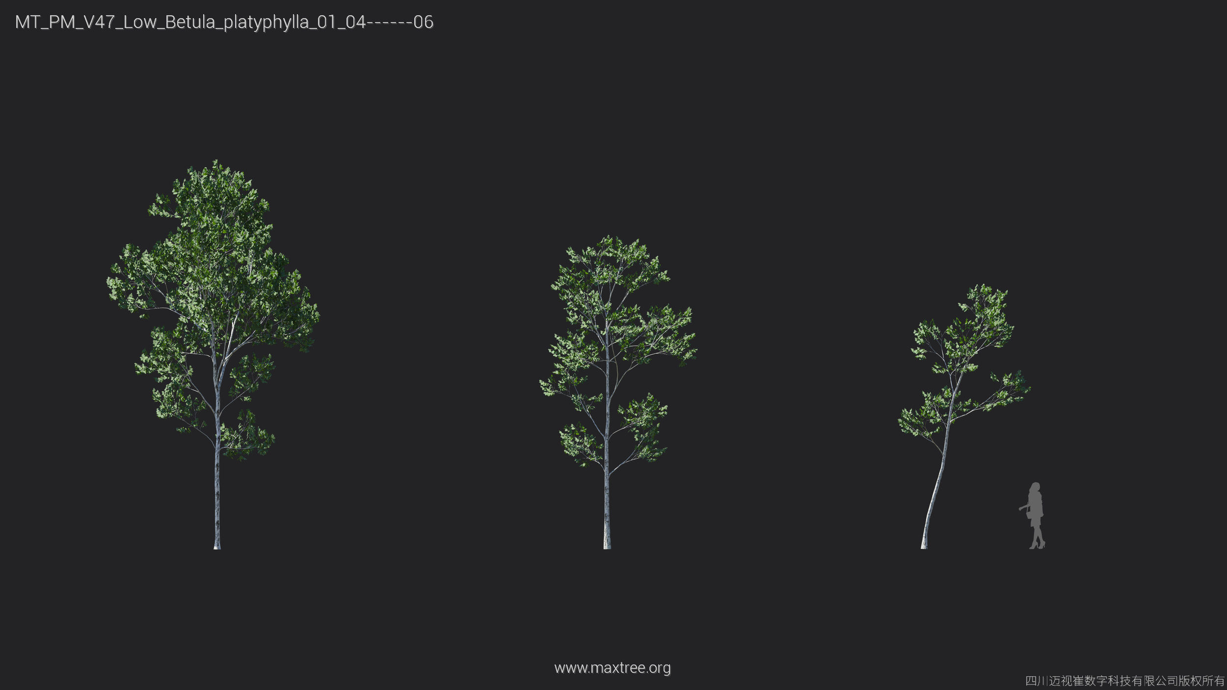 Maxtree Plant Models Vol 47 Low Poly - Mesh 3D model_6