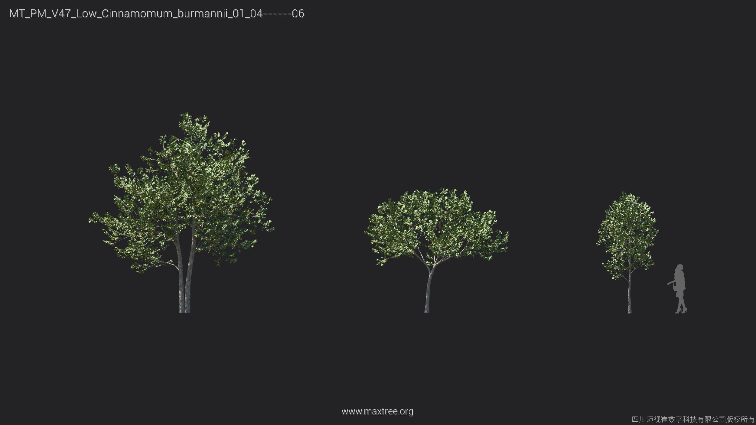 Maxtree Plant Models Vol 47 Low Poly - Mesh 3D model_12