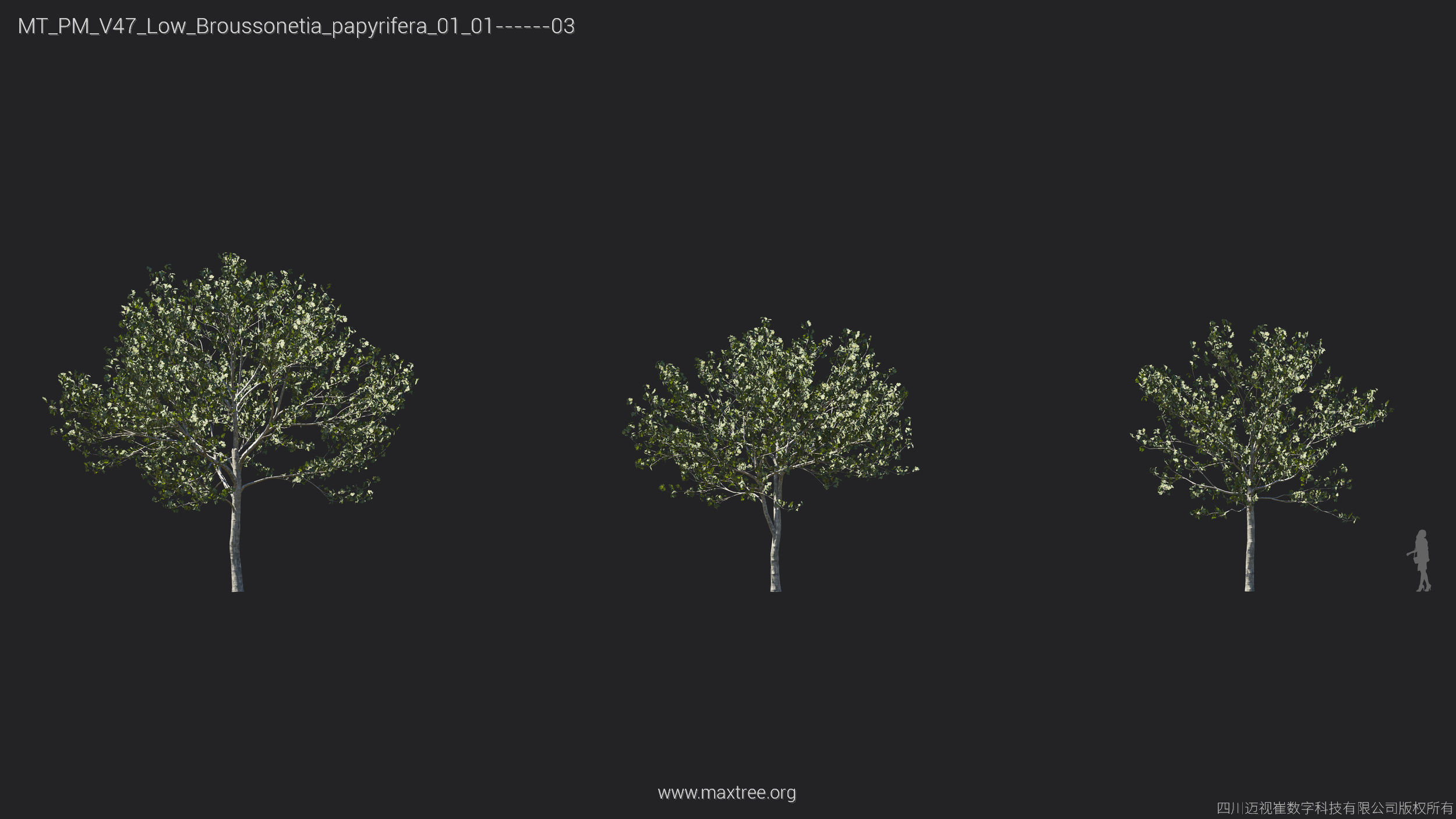 Maxtree Plant Models Vol 47 Low Poly - Mesh 3D model_7