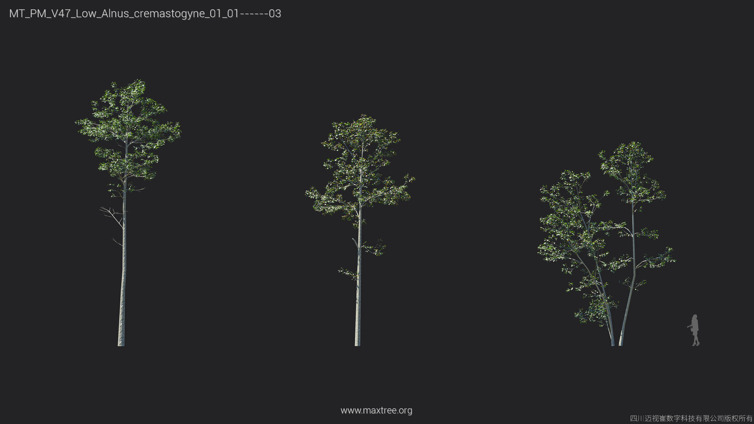 Maxtree Plant Models Vol 47 Low Poly - Mesh 3D model_3