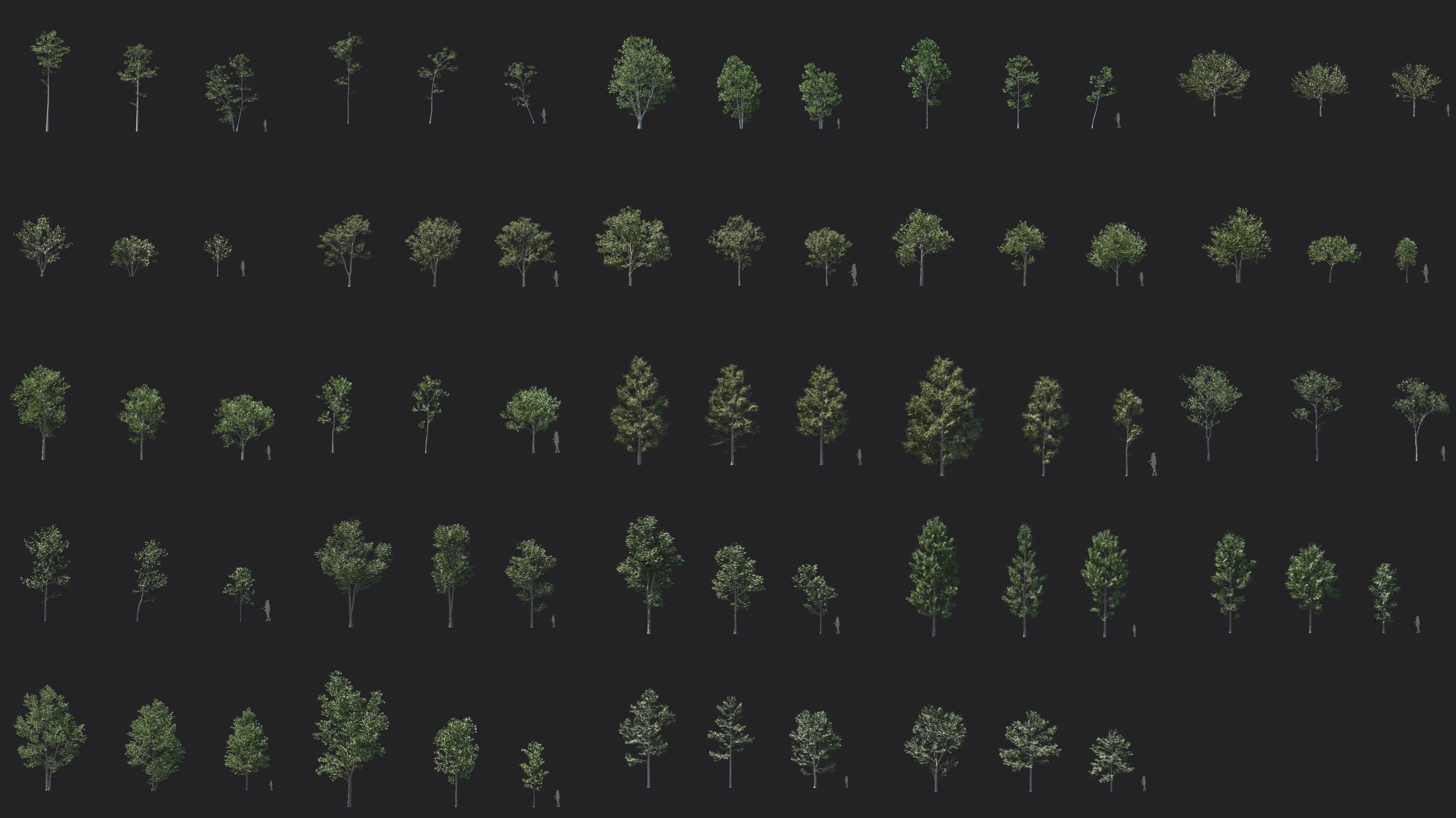 Maxtree Plant Models Vol 47 Low Poly - Mesh 3D model_2