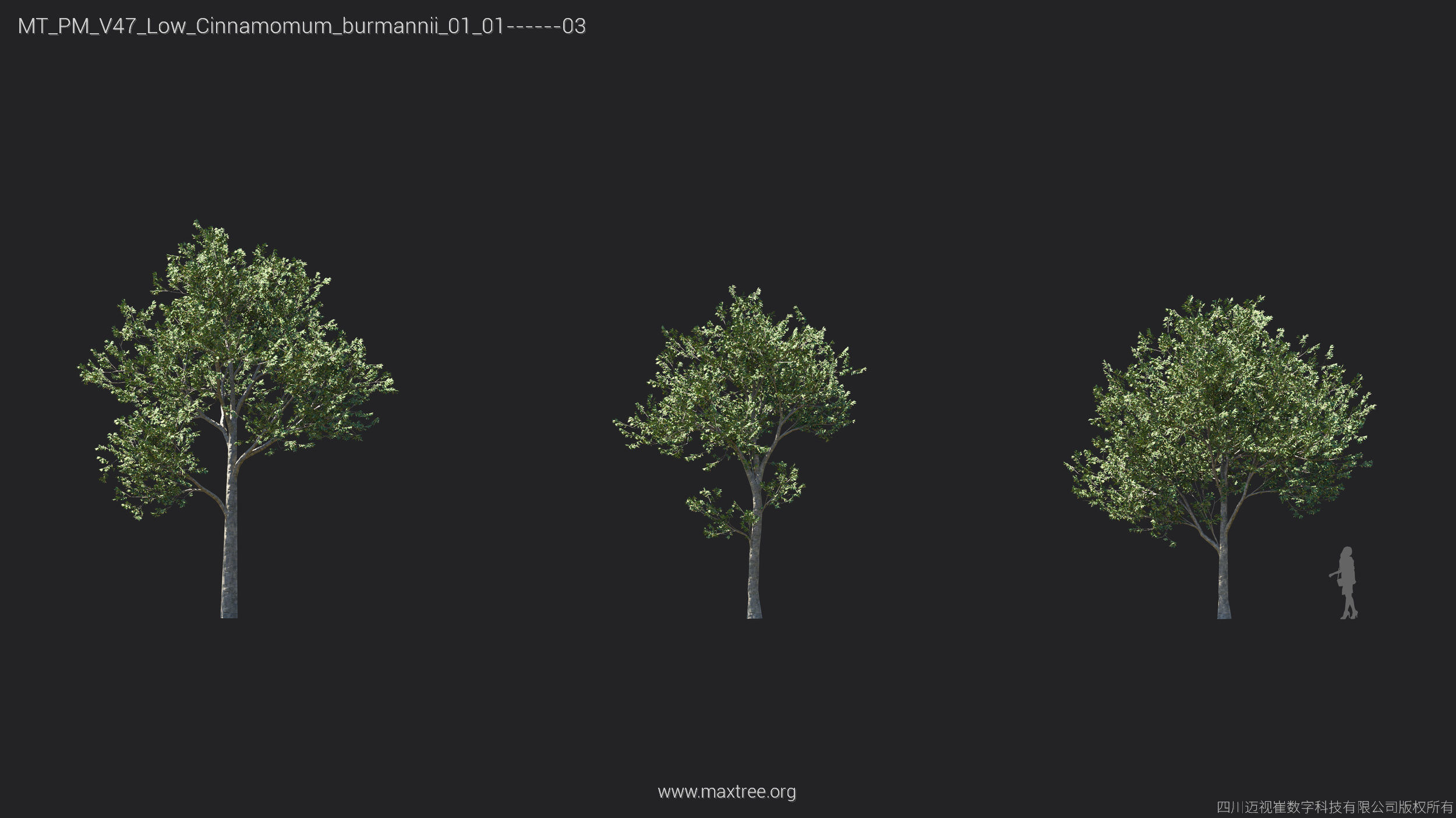 Maxtree Plant Models Vol 47 Low Poly - Mesh 3D model_11