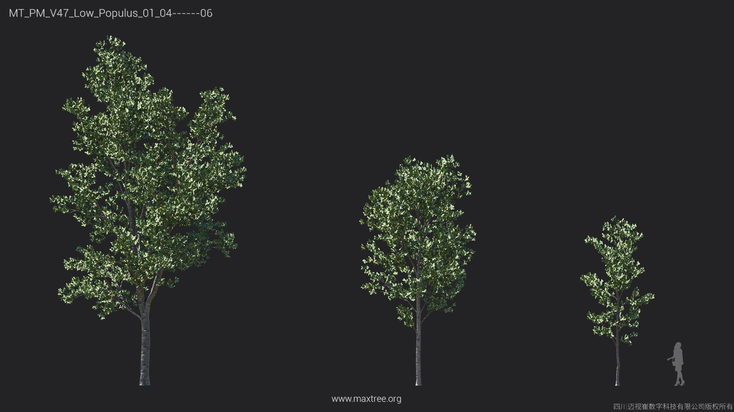 Maxtree Plant Models Vol 47 Low Poly - Mesh 3D model_24