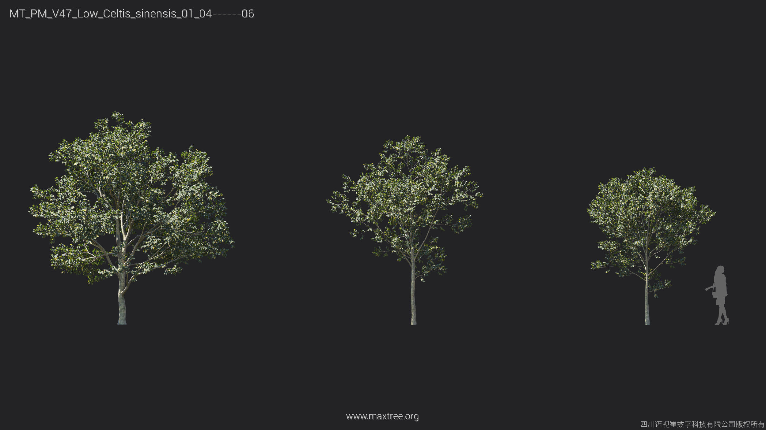 Maxtree Plant Models Vol 47 Low Poly - Mesh 3D model_10