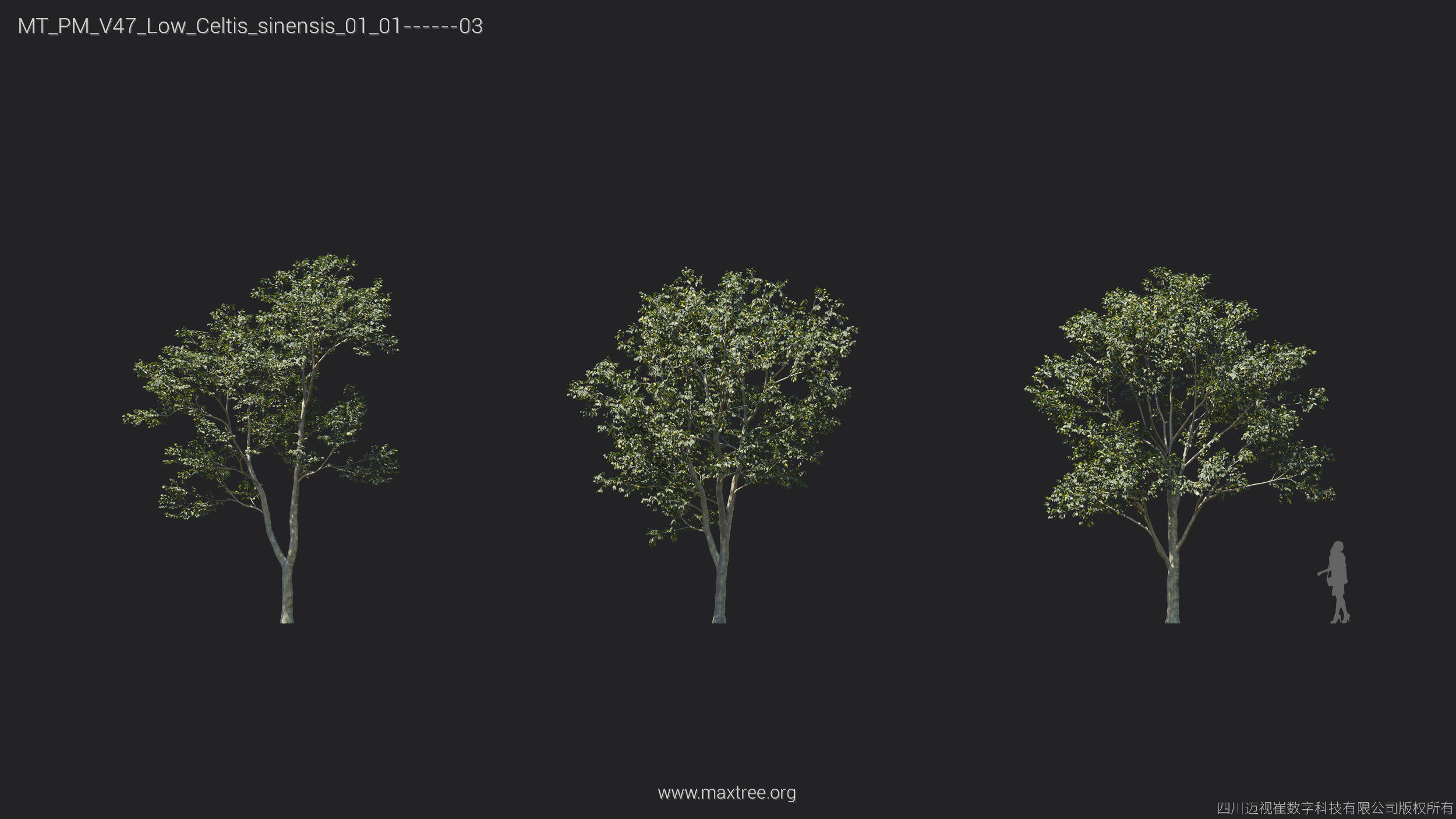 Maxtree Plant Models Vol 47 Low Poly - Mesh 3D model_9