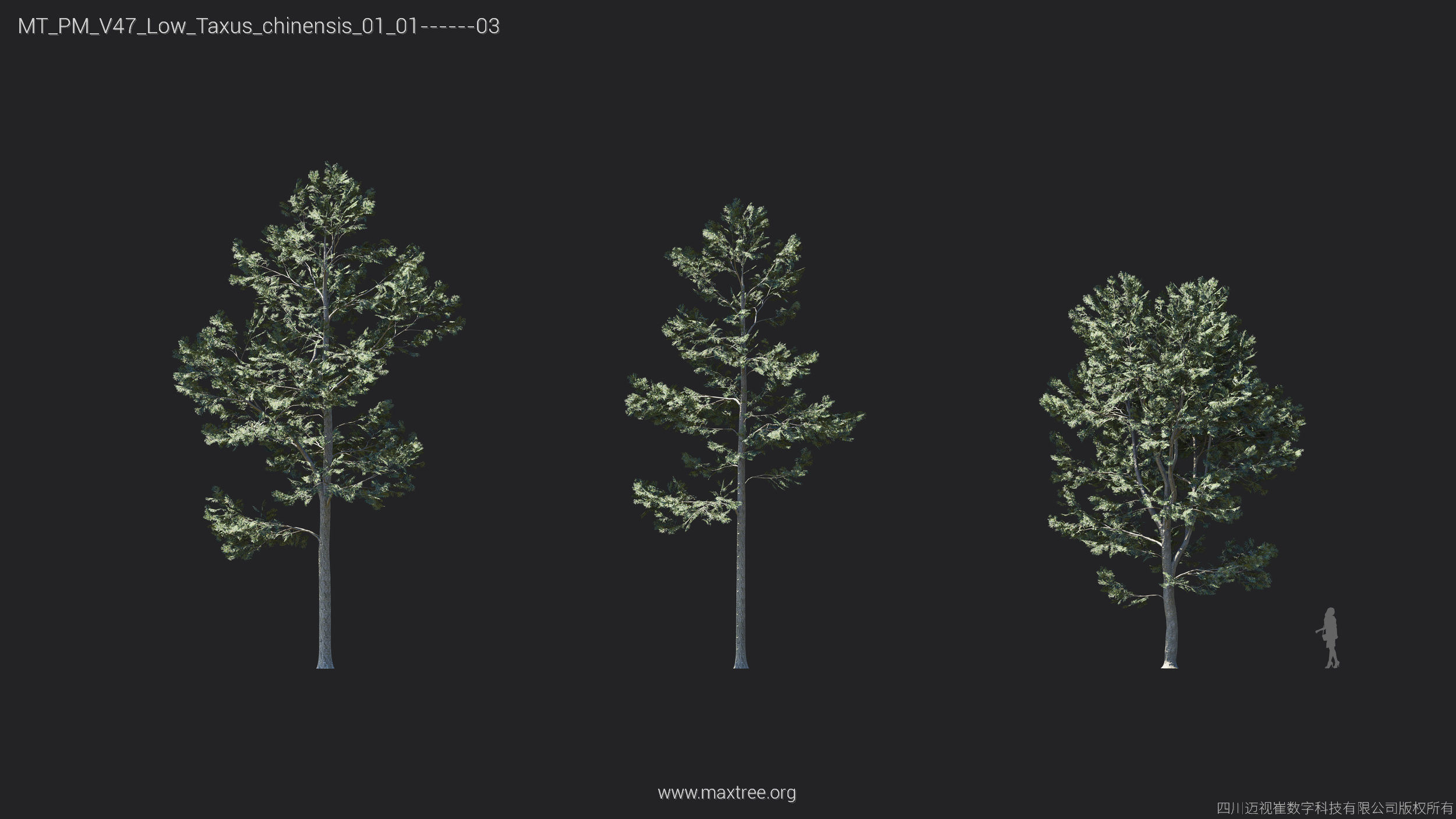 Maxtree Plant Models Vol 47 Low Poly - Mesh 3D model_25