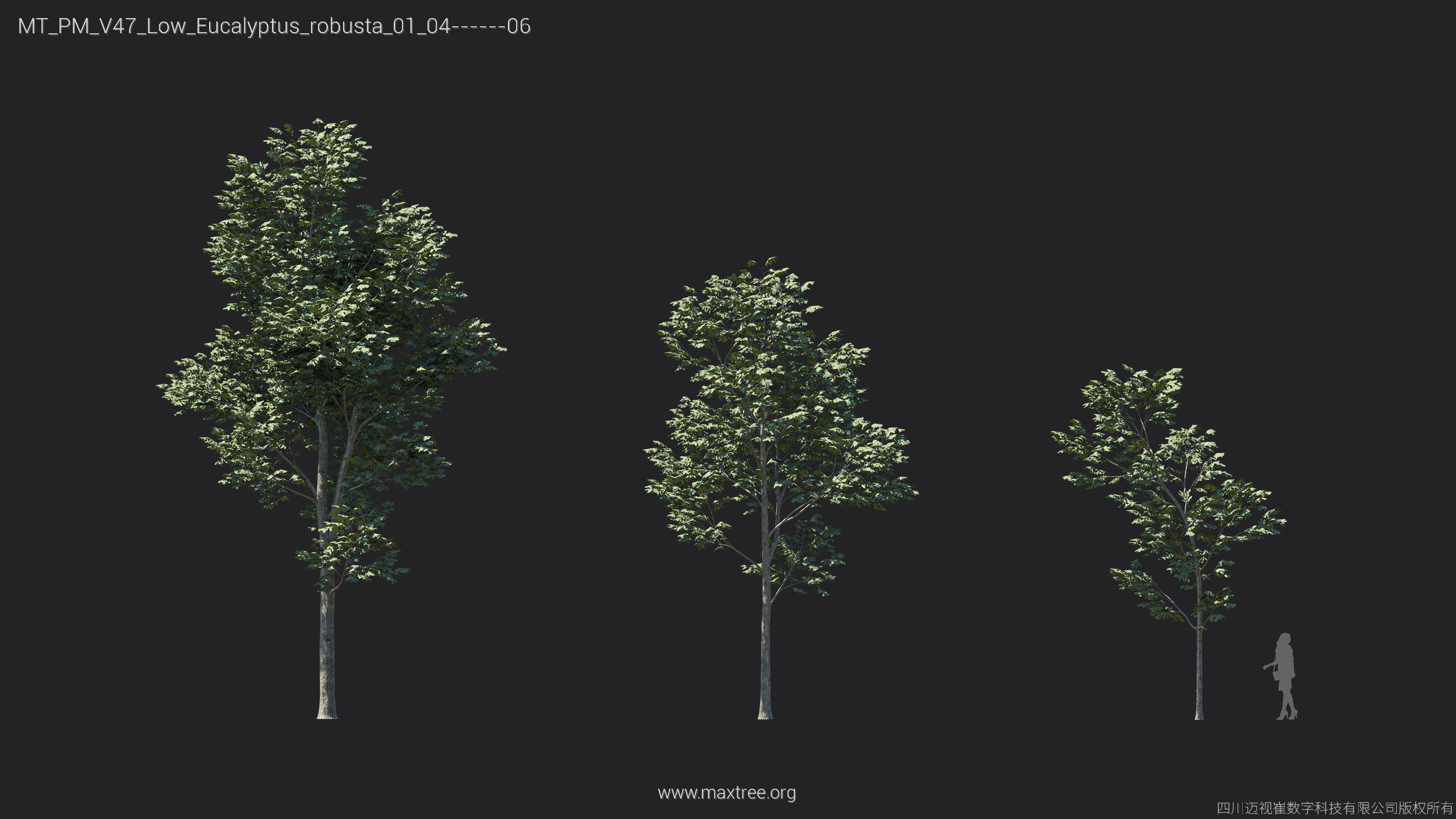 Maxtree Plant Models Vol 47 Low Poly - Mesh 3D model_20