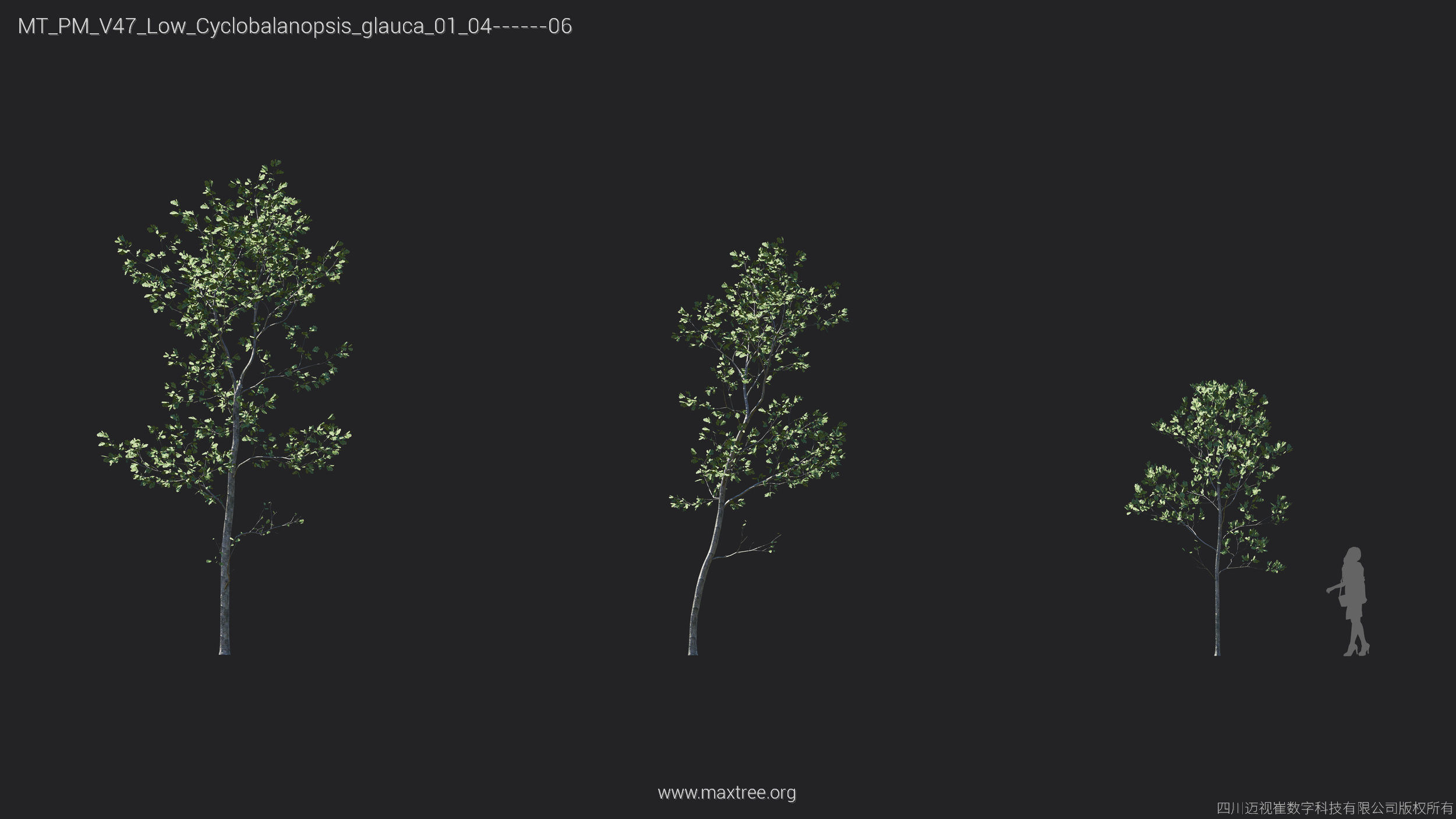 Maxtree Plant Models Vol 47 Low Poly - Mesh 3D model_18