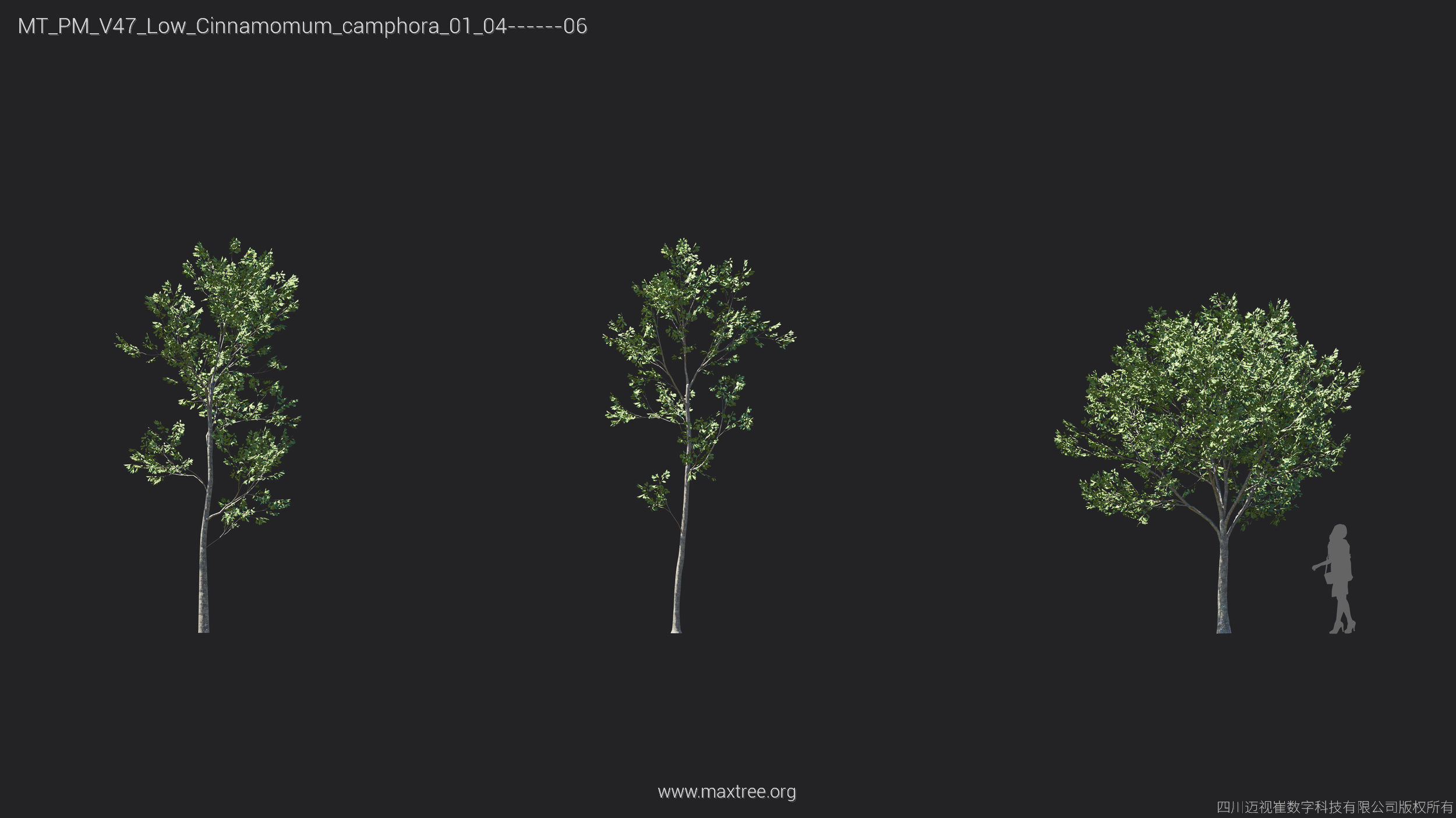 Maxtree Plant Models Vol 47 Low Poly - Mesh 3D model_14