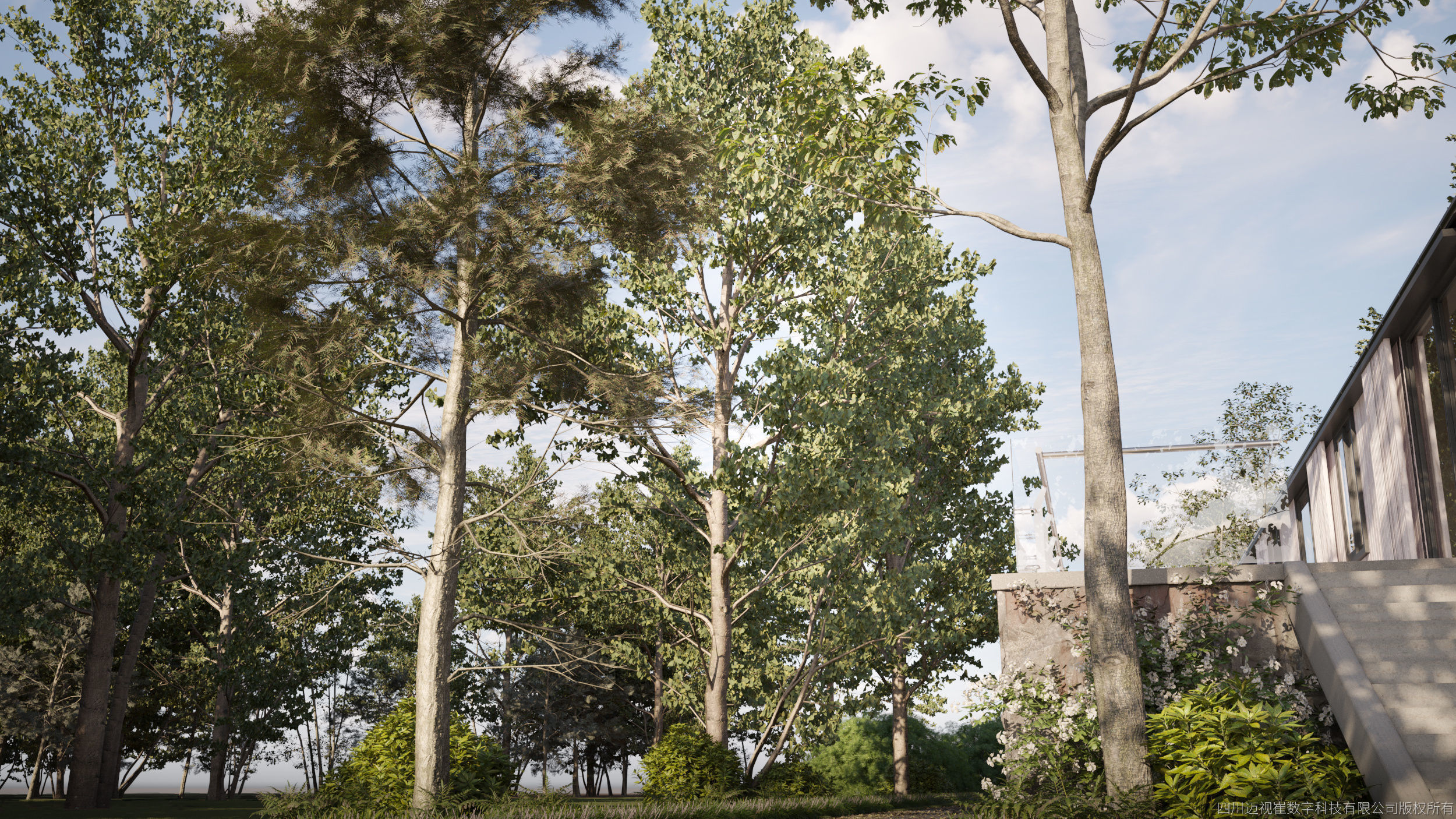 Maxtree Plant Models Vol 47 Low Poly - Mesh 3D model_1