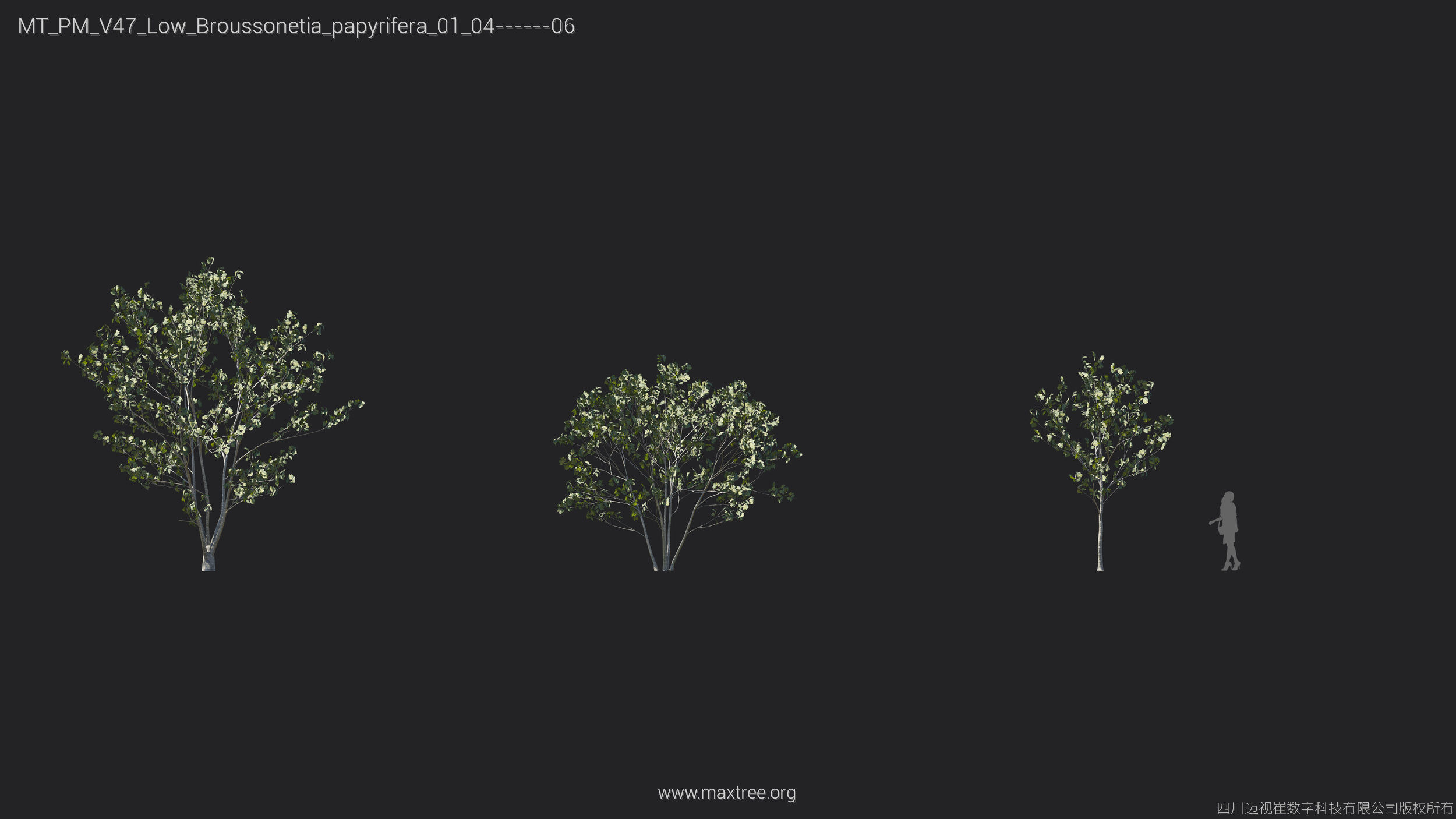 Maxtree Plant Models Vol 47 Low Poly - Mesh 3D model_8