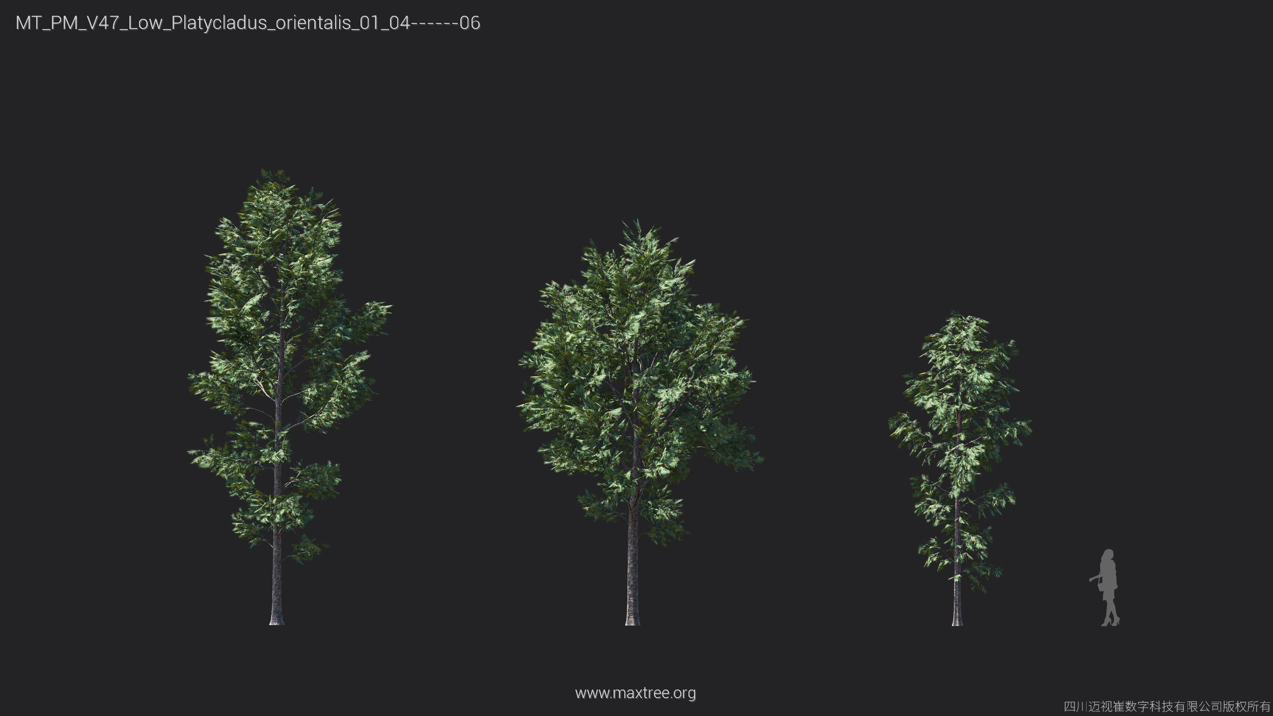 Maxtree Plant Models Vol 47 Low Poly - Mesh 3D model_22